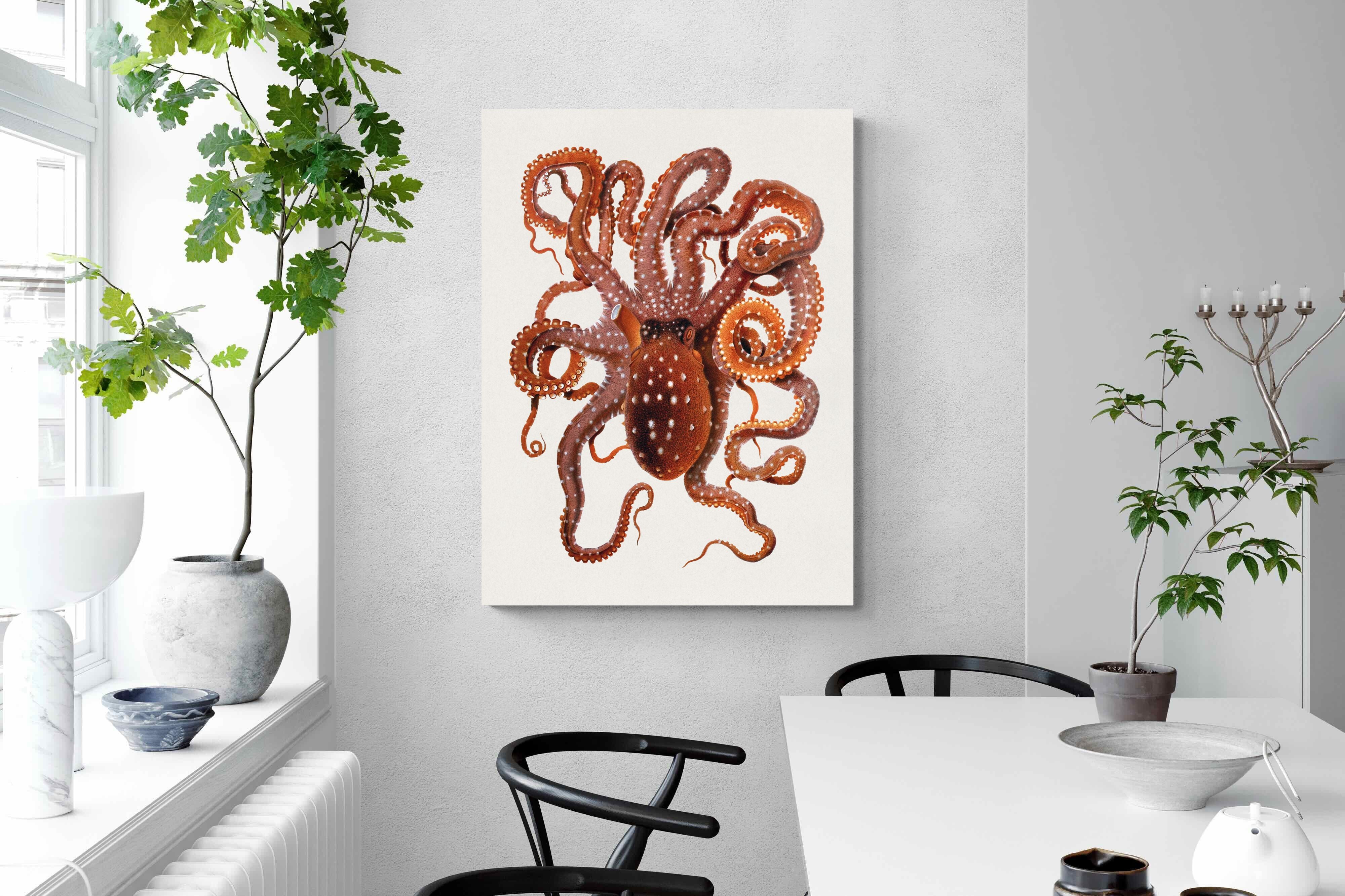 Pixalot Callistoctopus Macropus