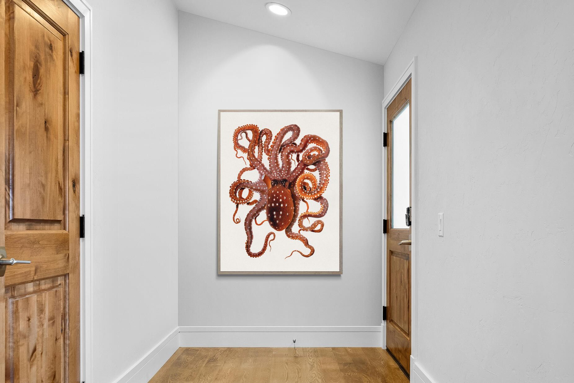 Pixalot Callistoctopus Macropus