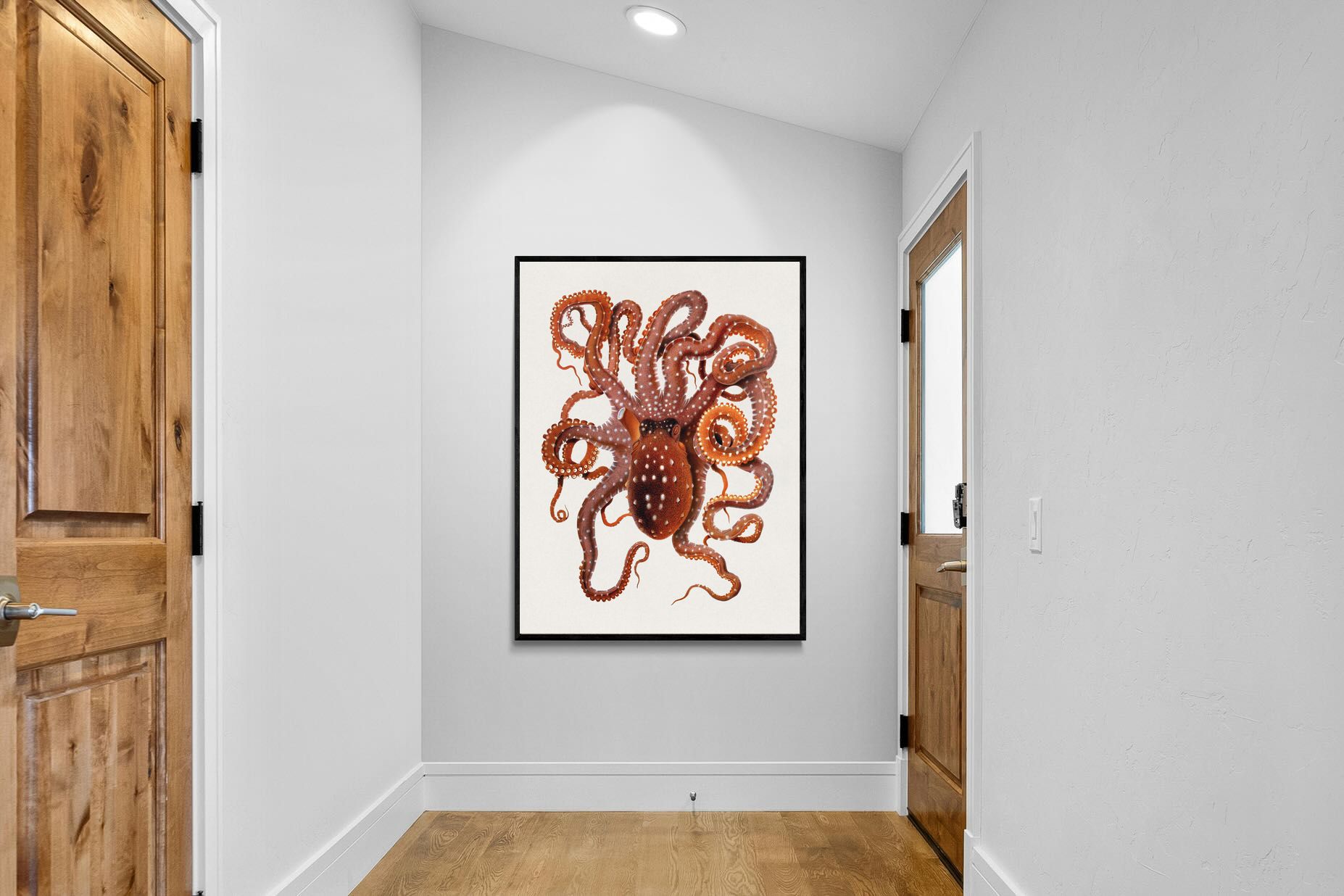 Pixalot Callistoctopus Macropus