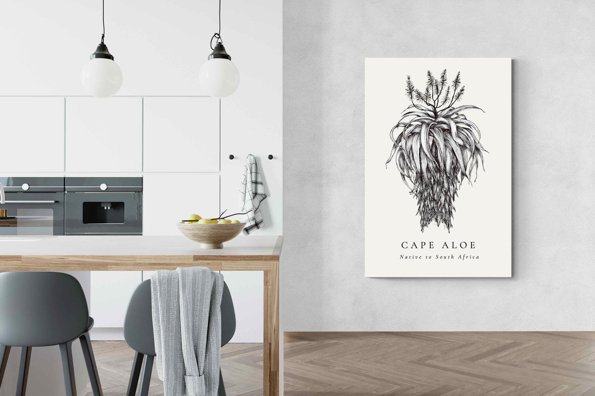 Pixalot ® Cape Aloe Illustration