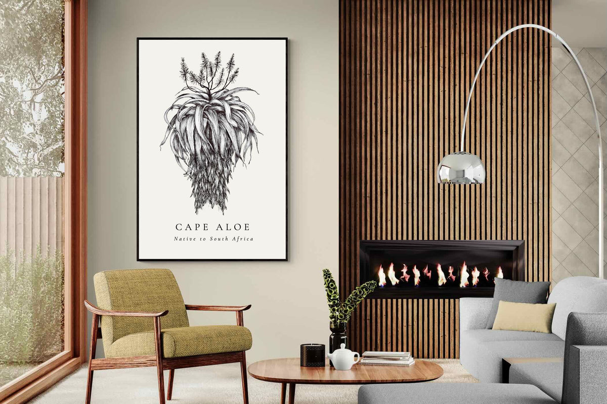Pixalot ® Cape Aloe Illustration
