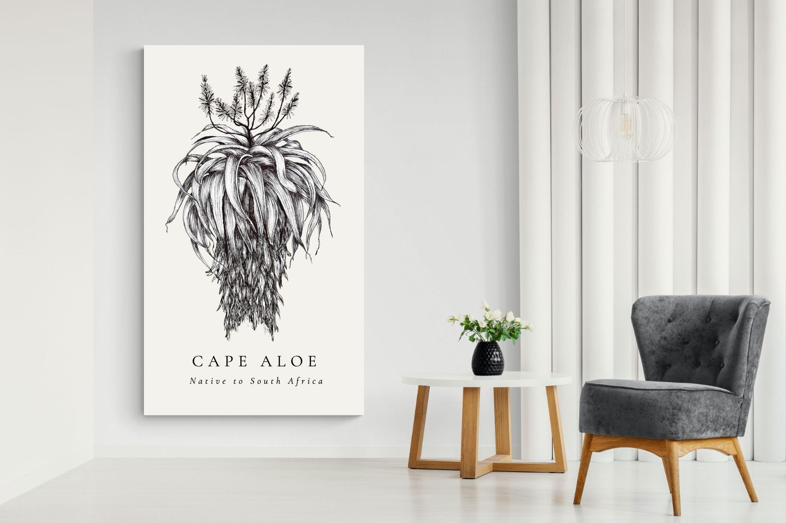 Pixalot ® Cape Aloe Illustration