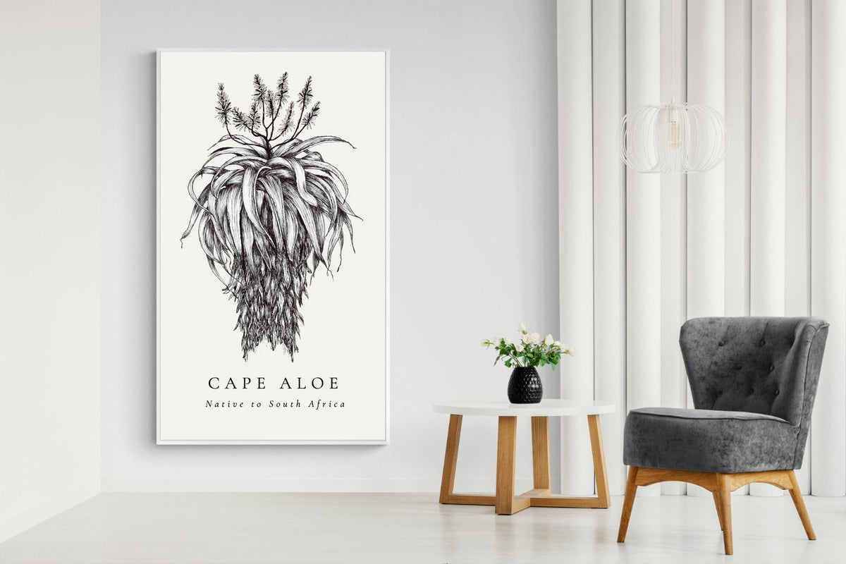 Pixalot ® Cape Aloe Illustration