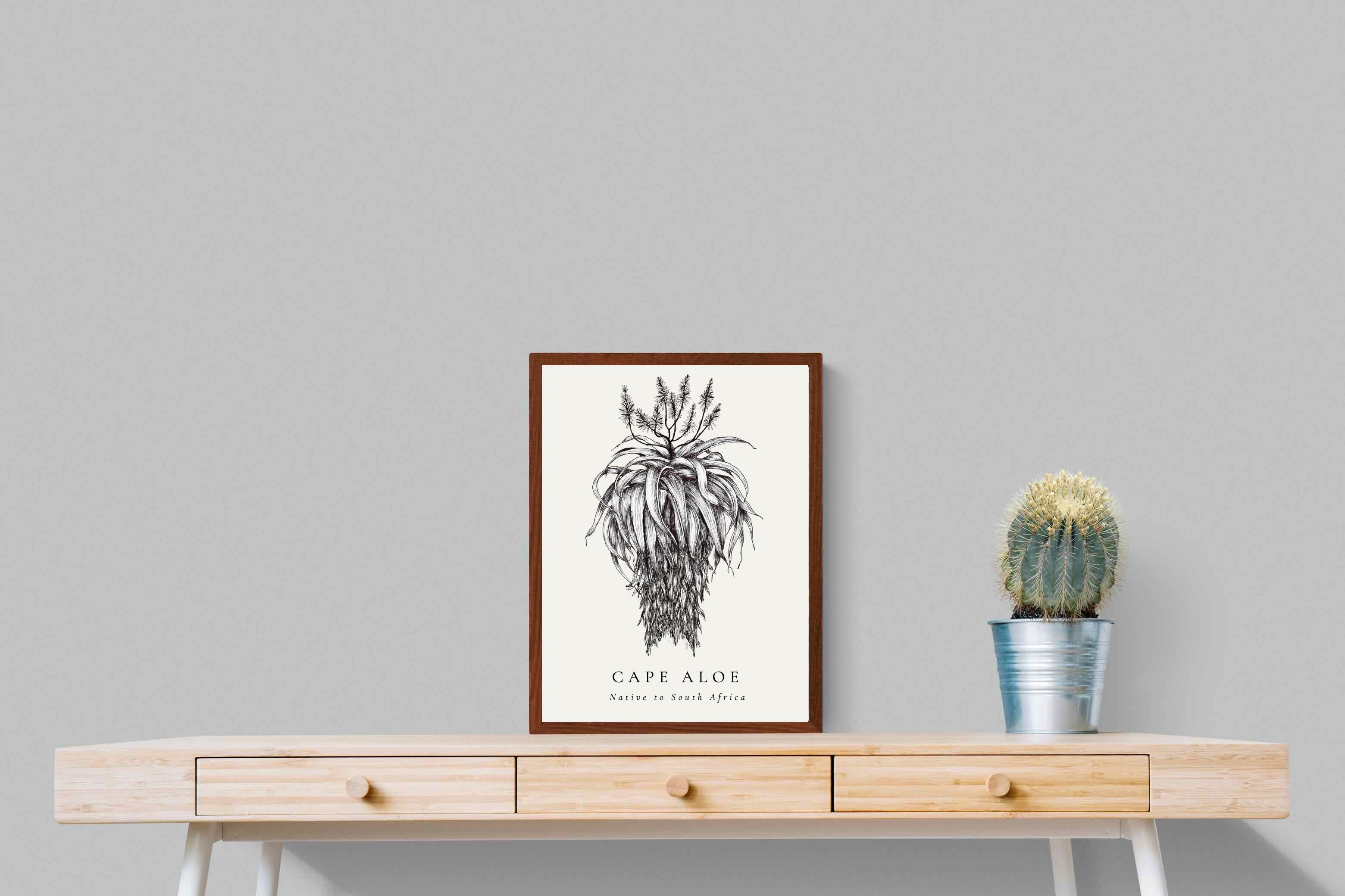 Pixalot ® Cape Aloe Illustration