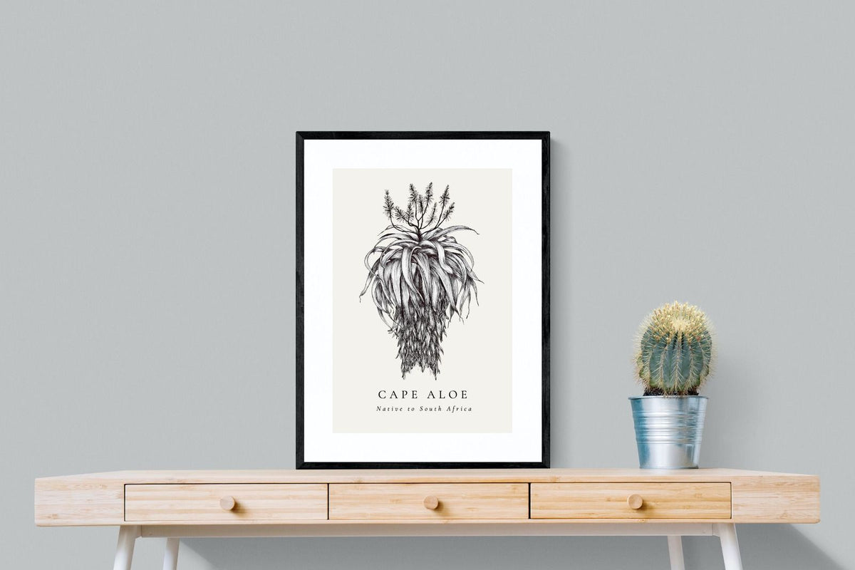 Pixalot ® Cape Aloe Illustration