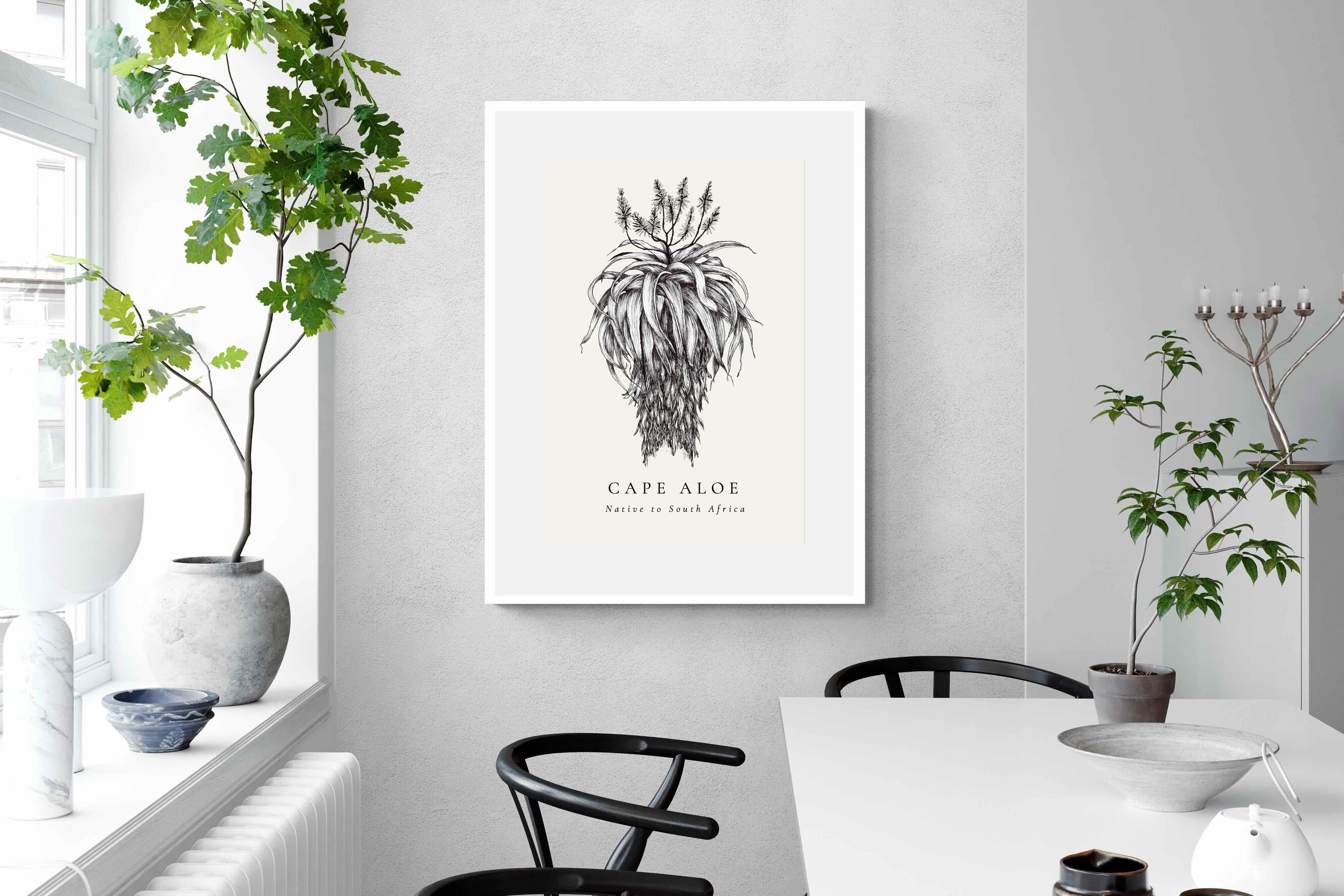 Pixalot ® Cape Aloe Illustration