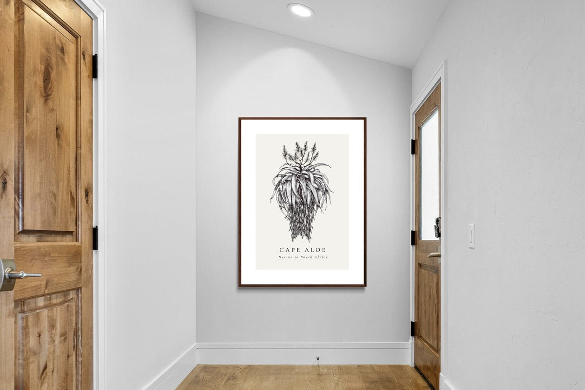 Pixalot ® Cape Aloe Illustration
