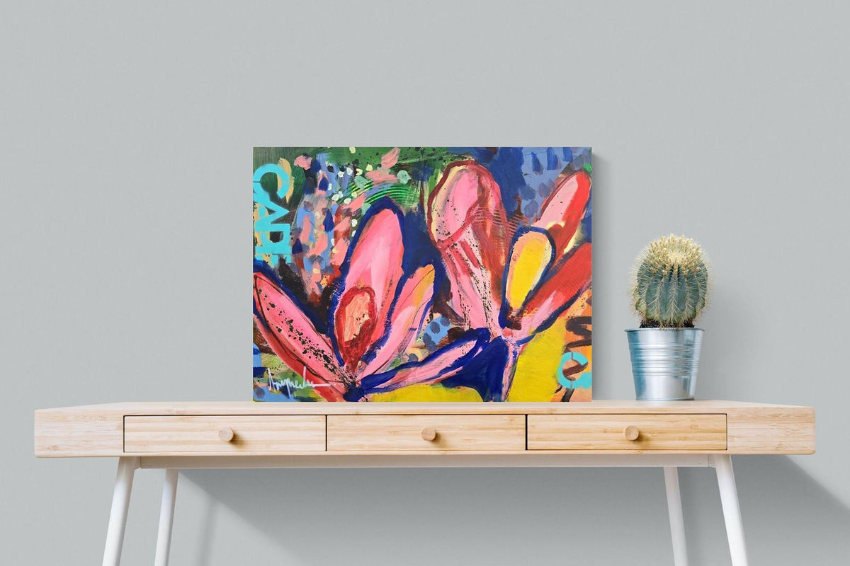Pixalot ® Cape in Colour