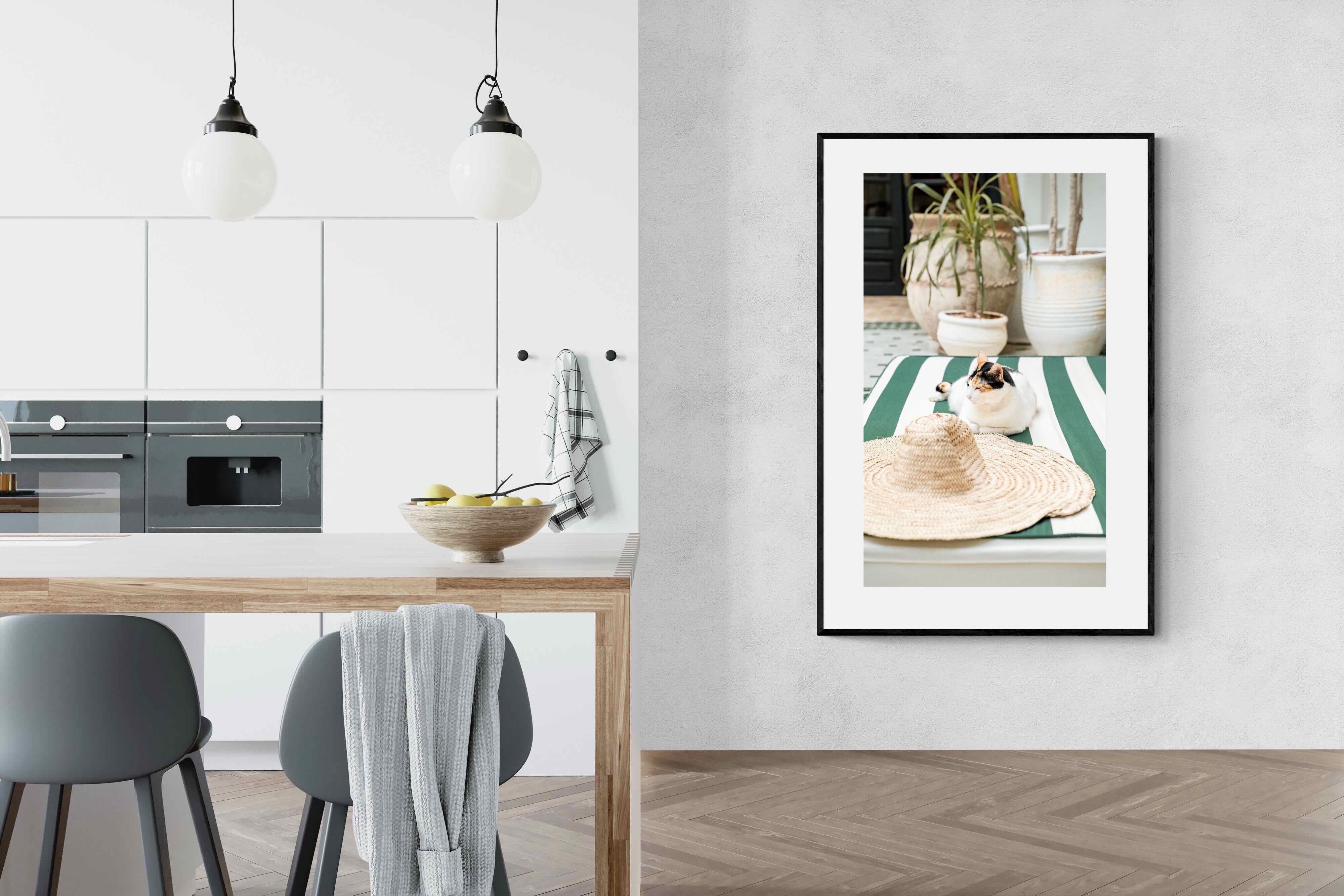 Pixalot Cat In Marrakech