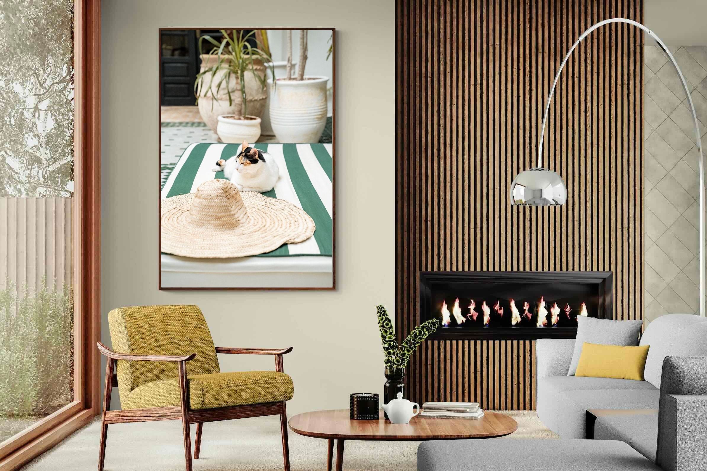 Pixalot Cat In Marrakech