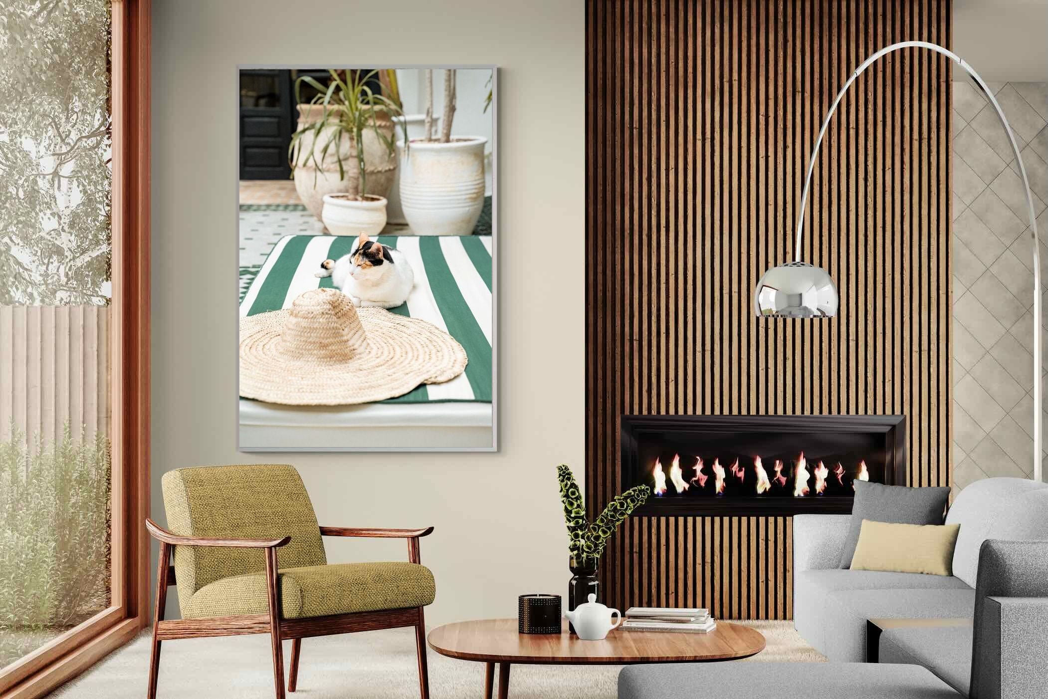 Pixalot Cat In Marrakech