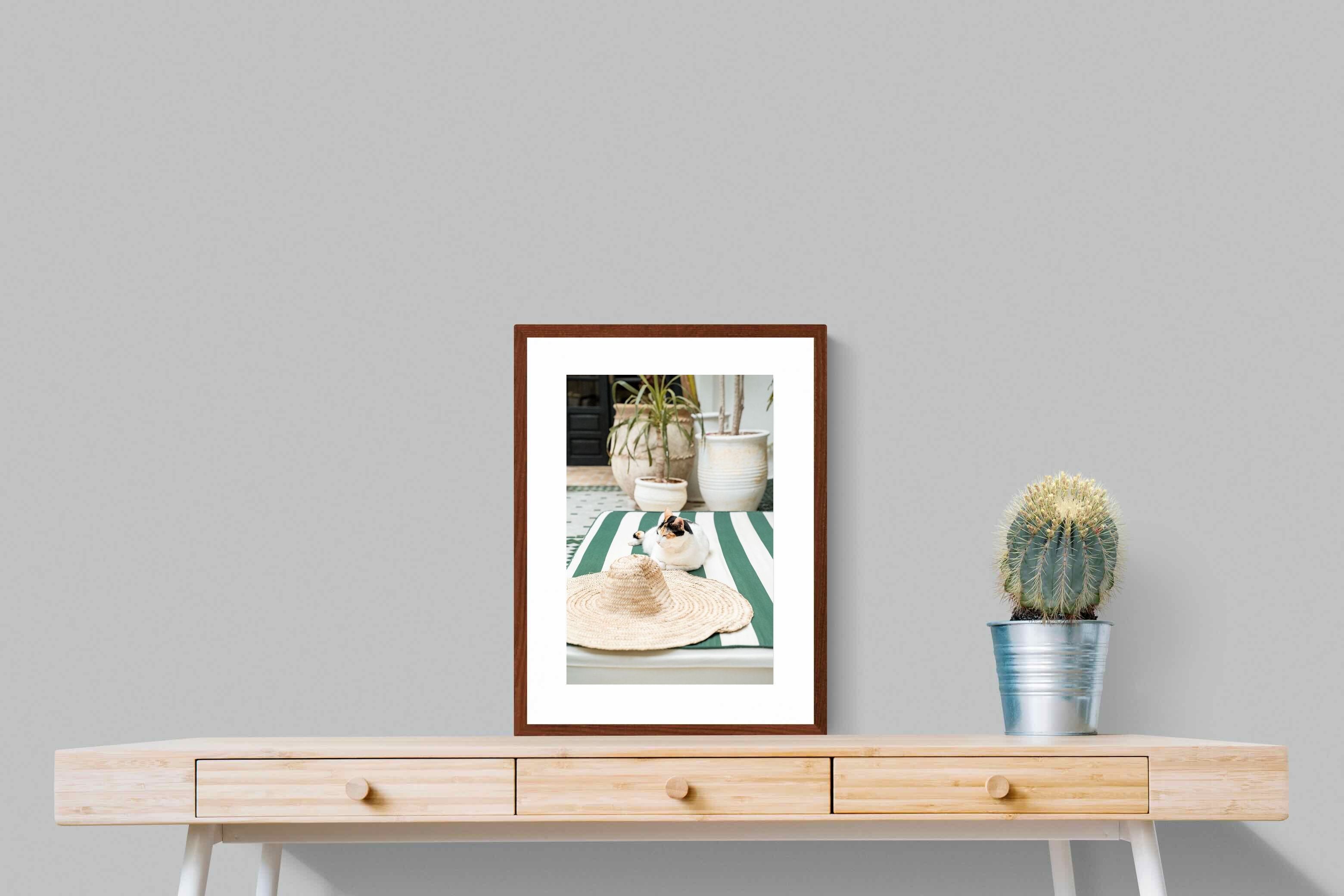 Pixalot Cat In Marrakech