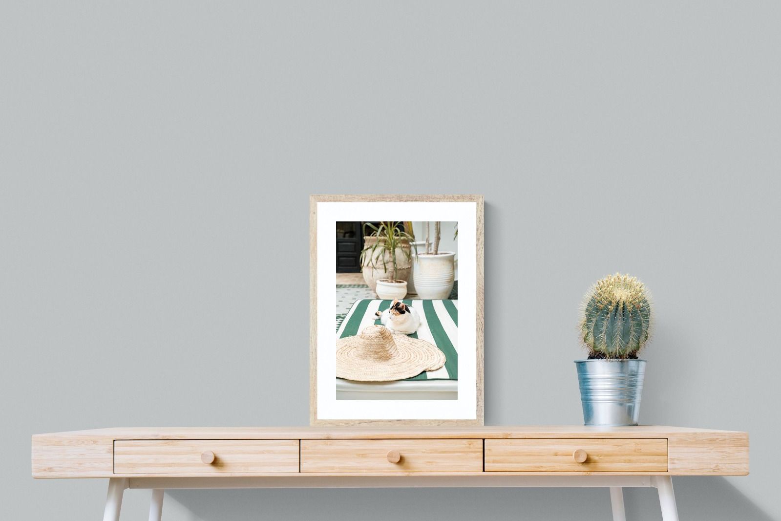 Pixalot Cat In Marrakech