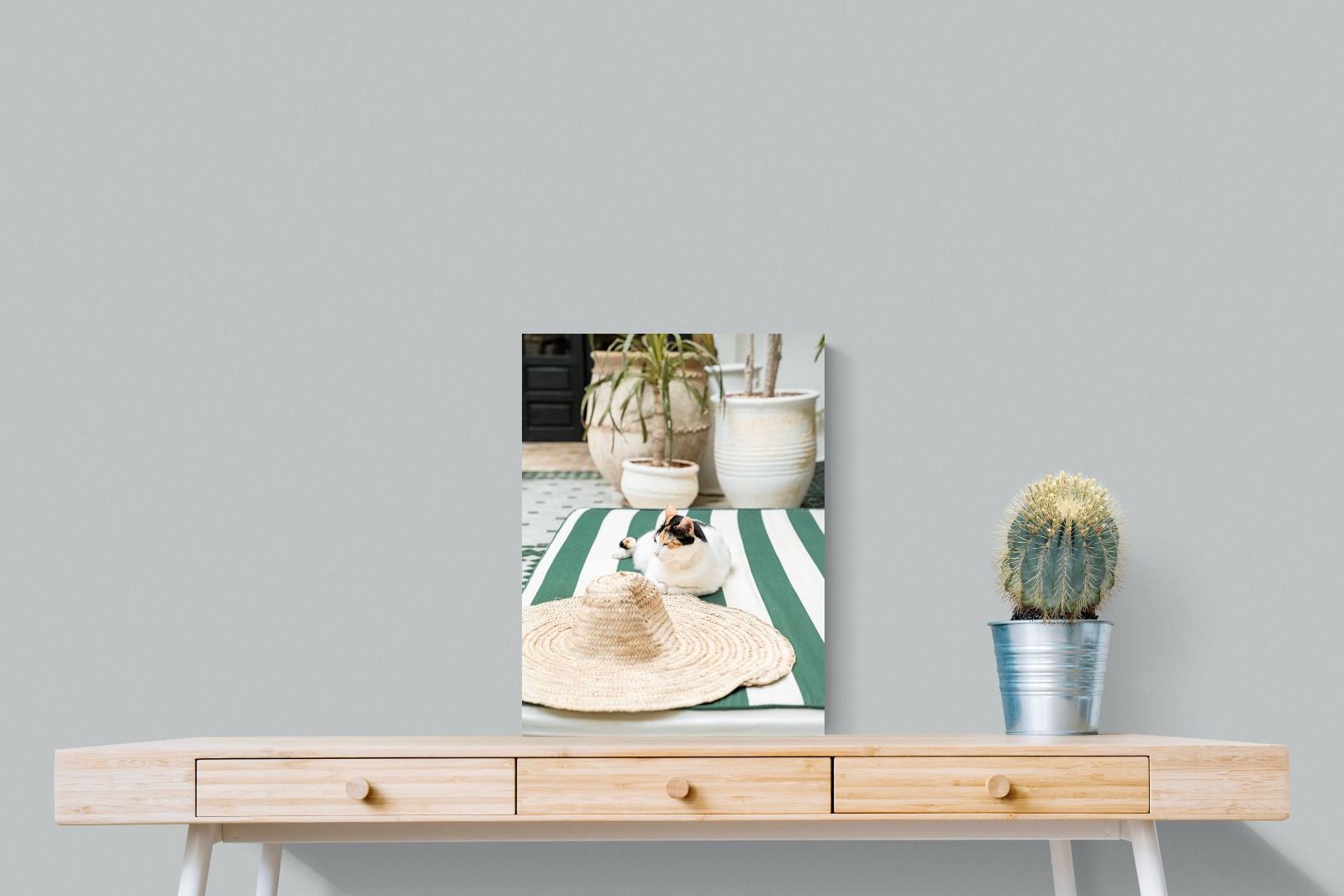 Pixalot Cat In Marrakech