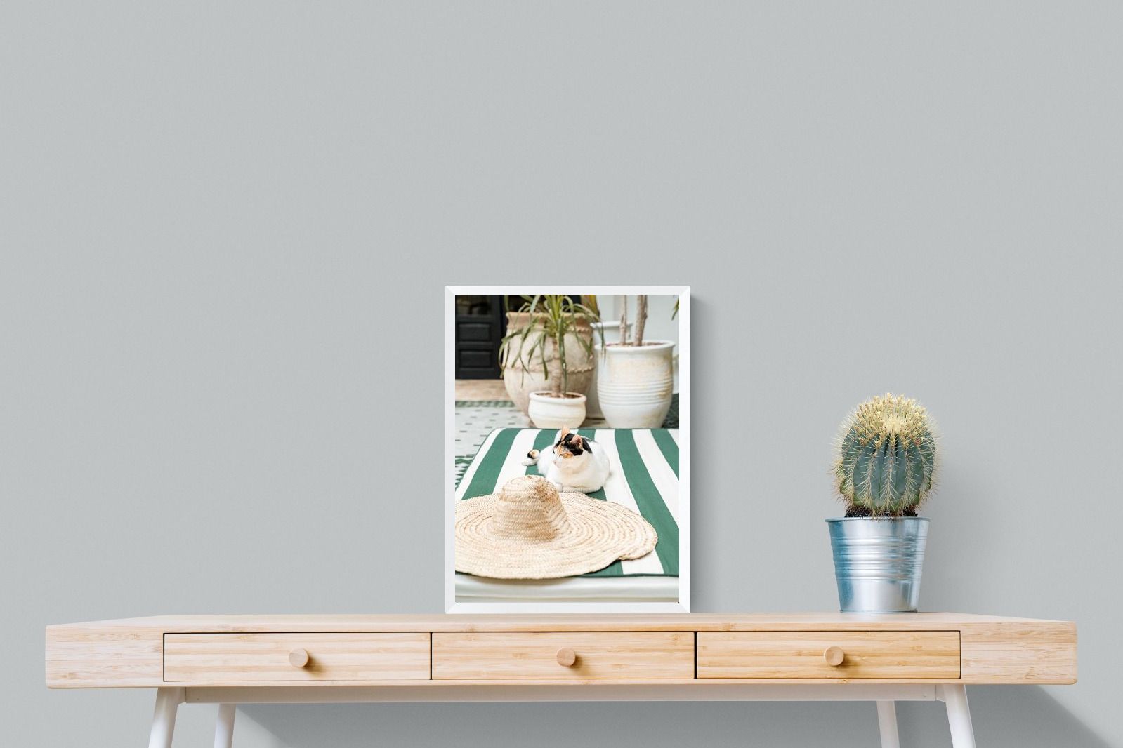 Pixalot Cat In Marrakech