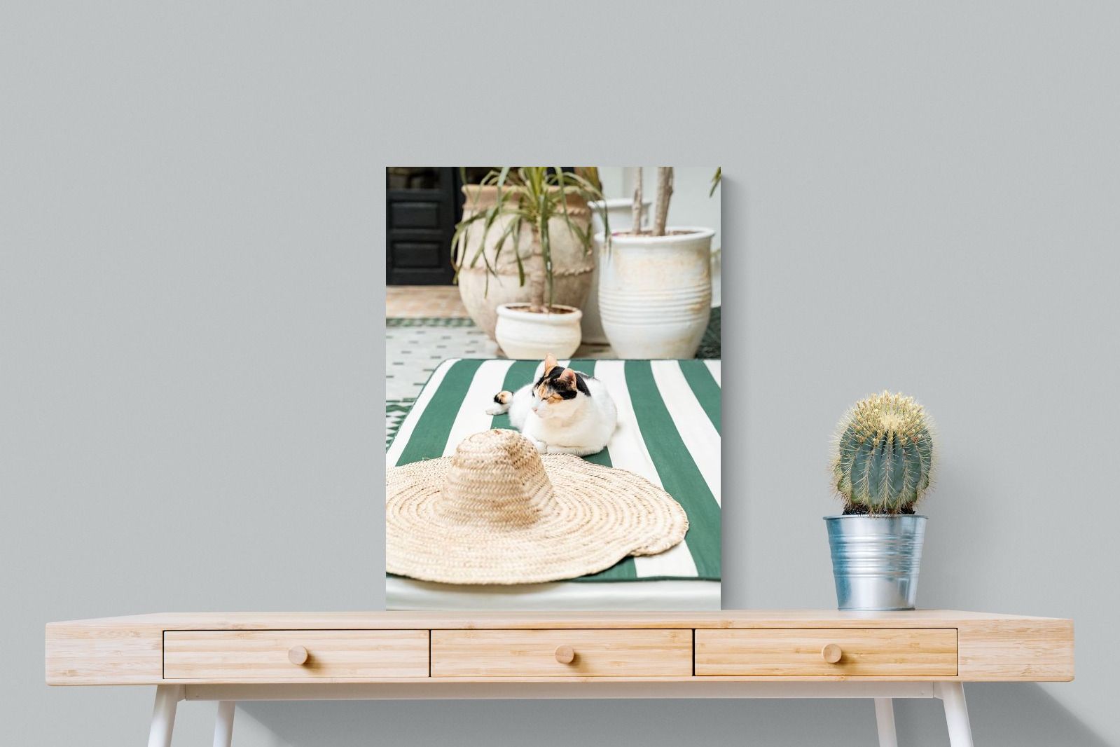 Pixalot Cat In Marrakech