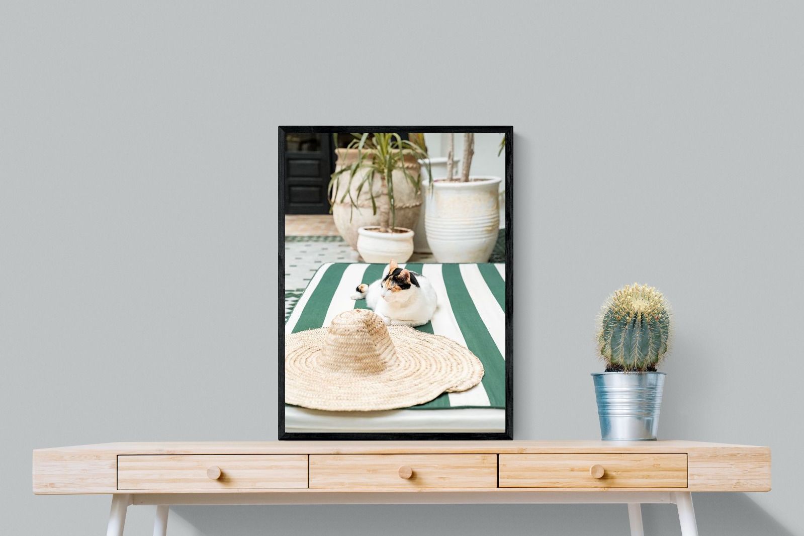 Pixalot Cat In Marrakech