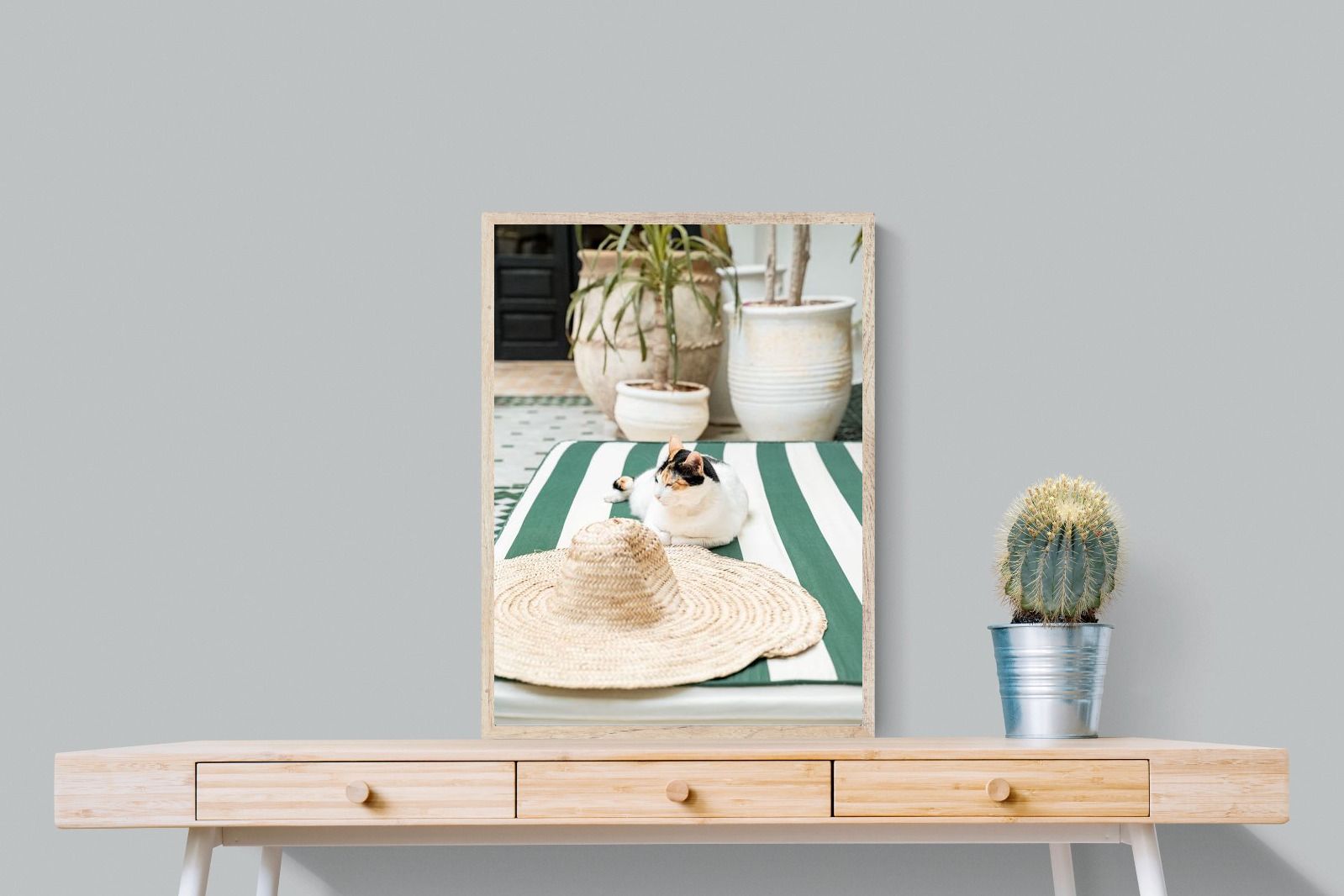 Pixalot Cat In Marrakech