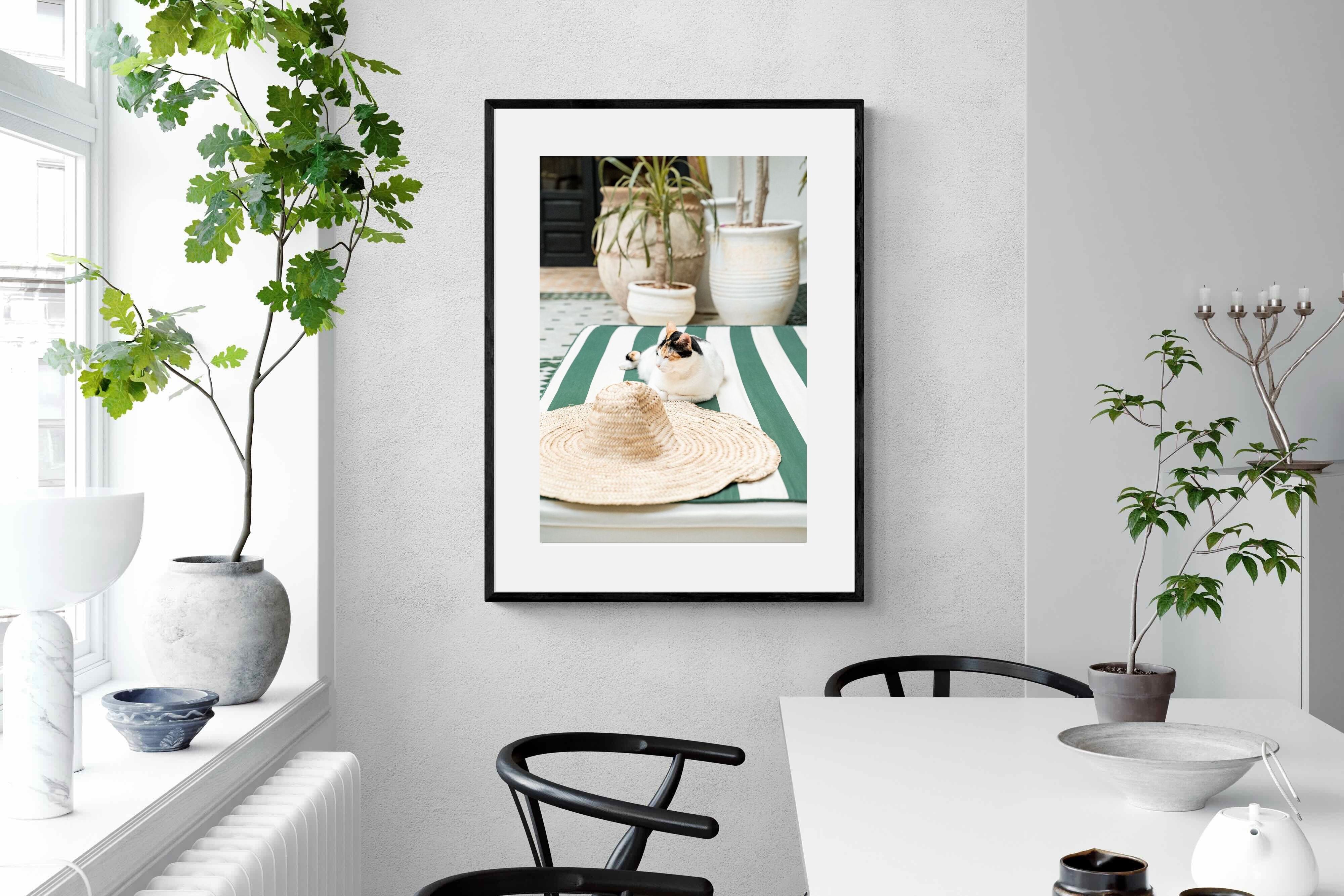 Pixalot Cat In Marrakech