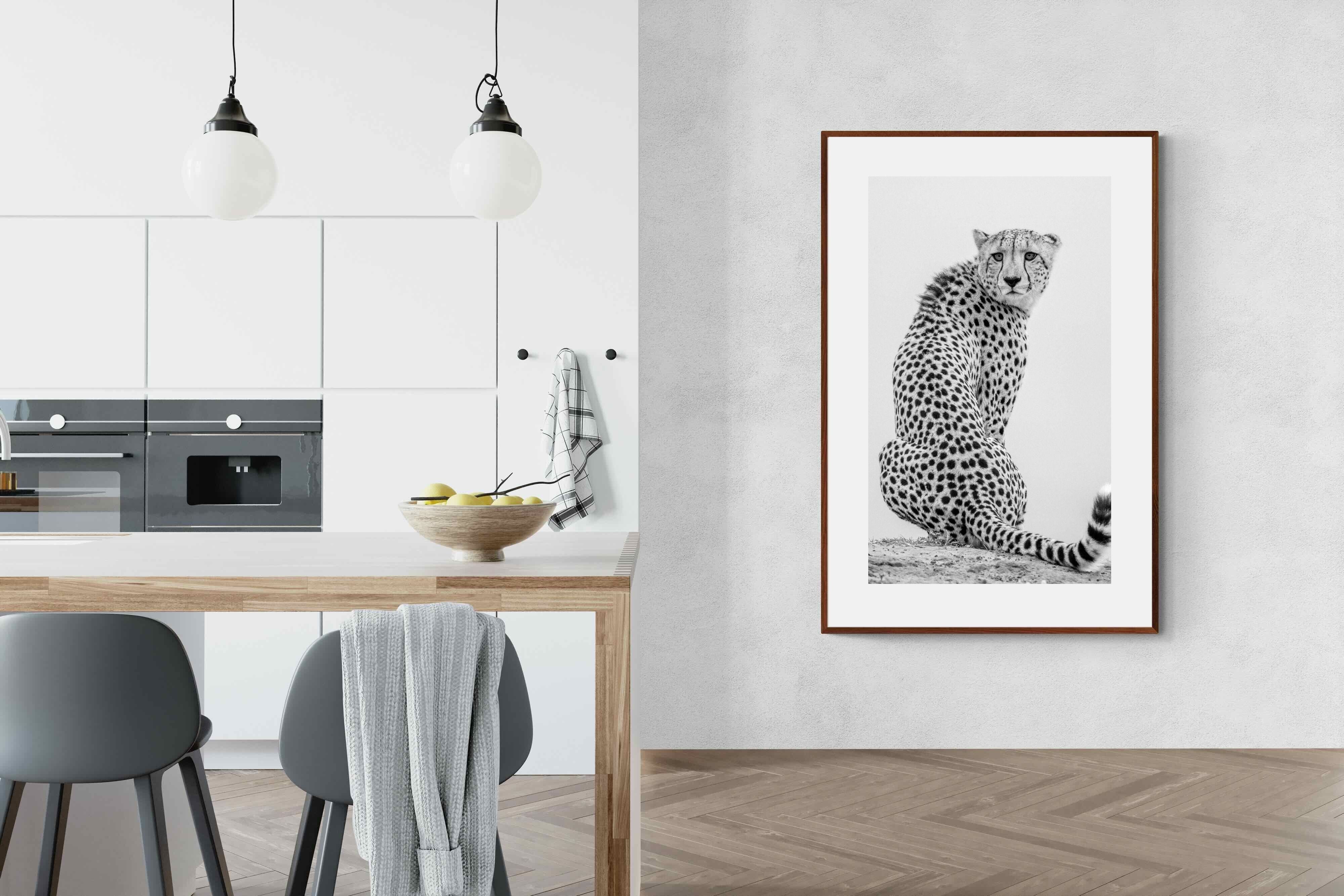 Pixalot Cheetah Glance