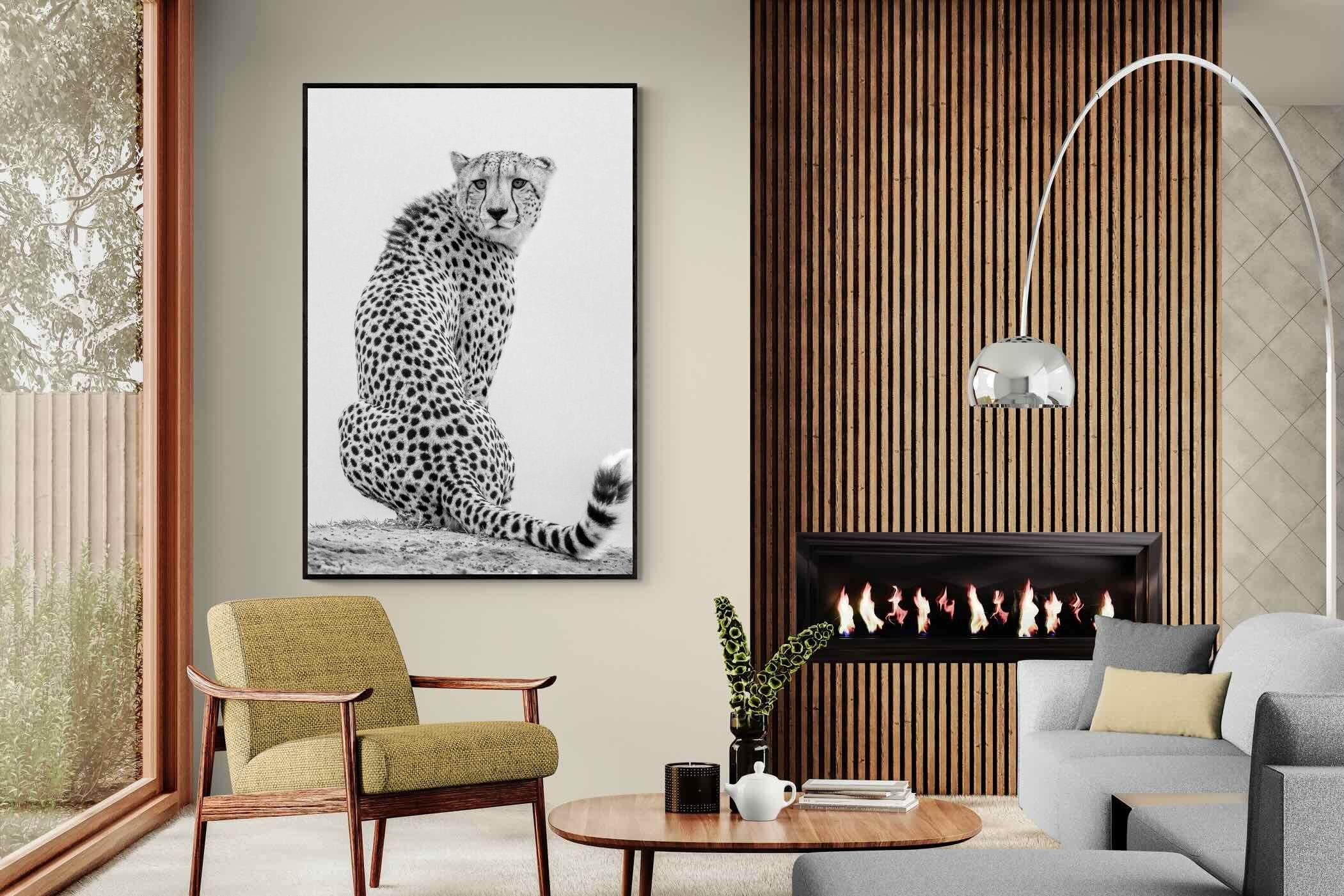 Pixalot Cheetah Glance