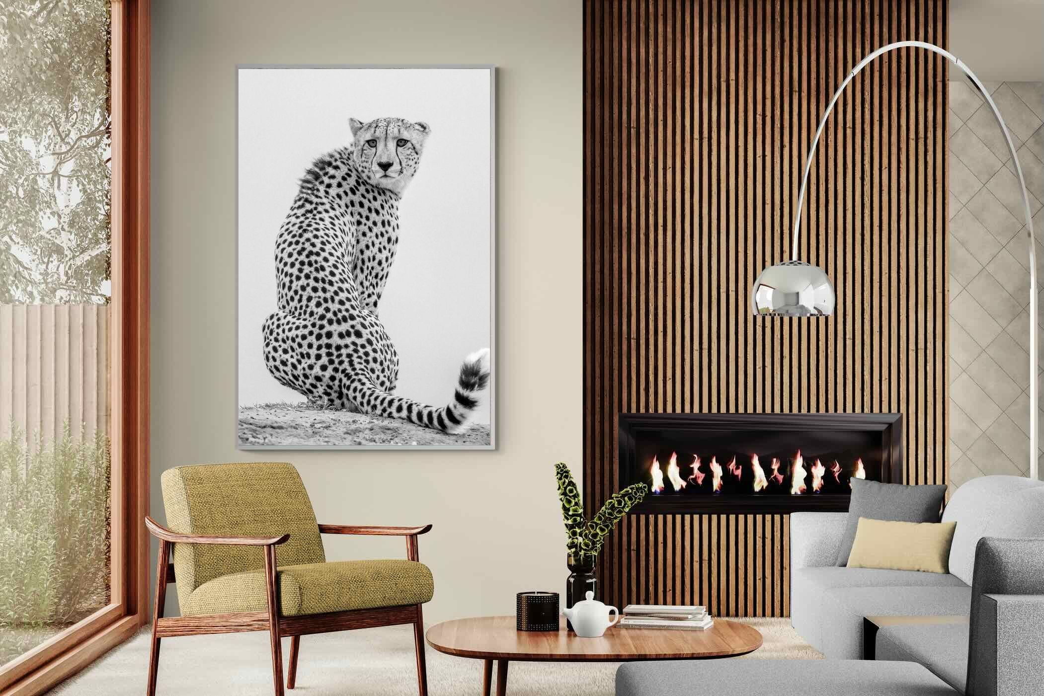 Pixalot Cheetah Glance