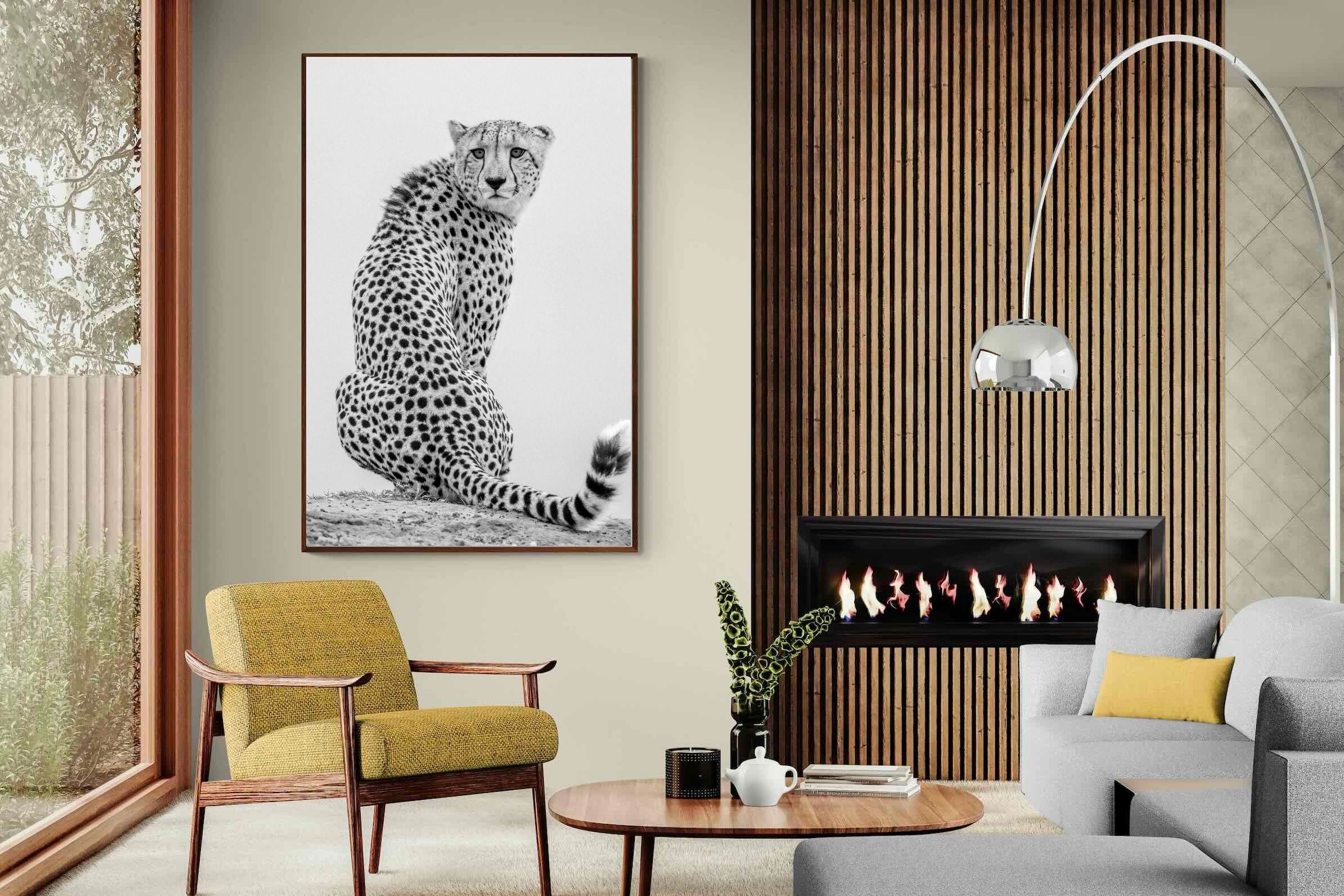 Pixalot Cheetah Glance