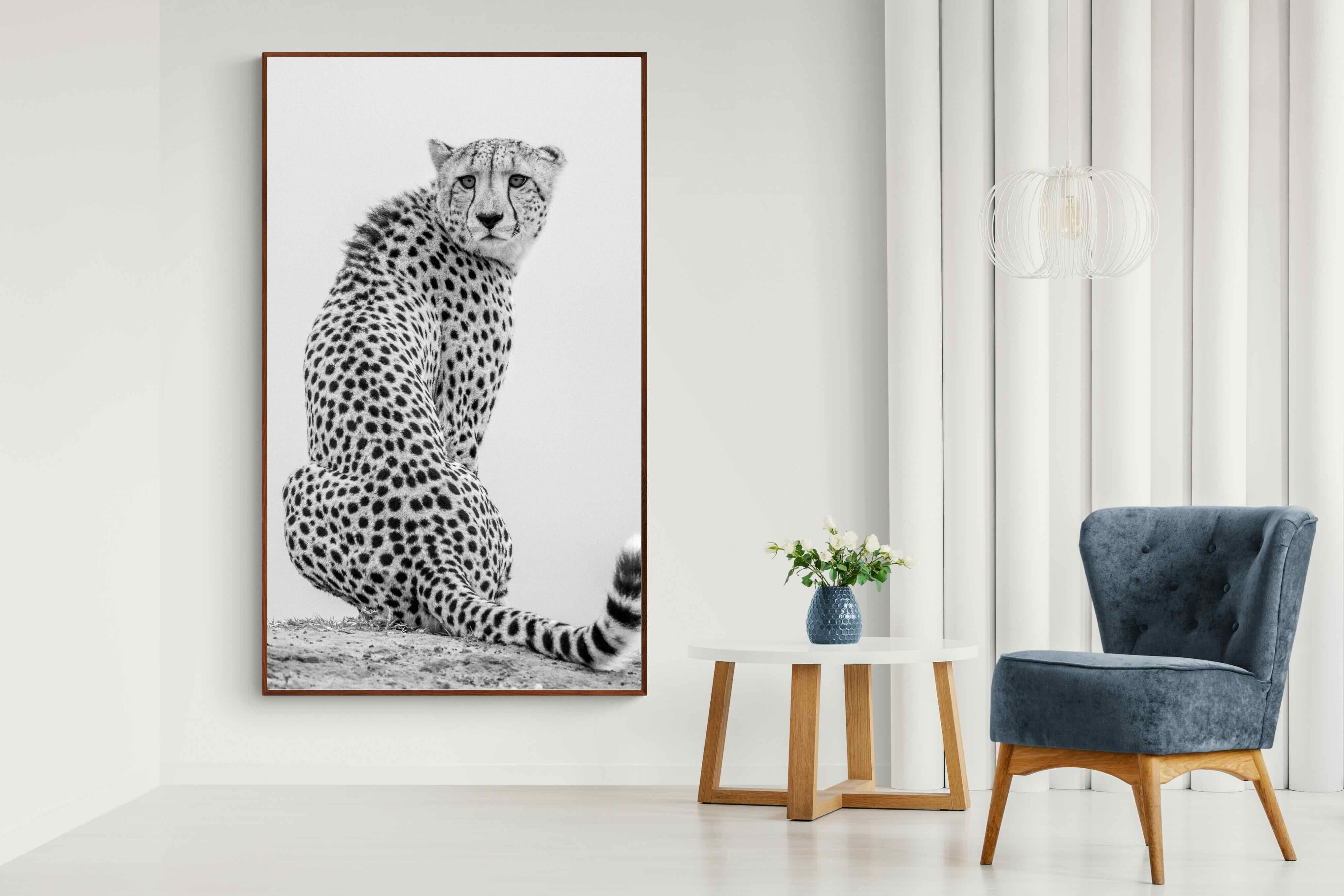 Pixalot Cheetah Glance