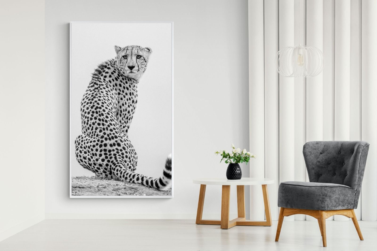 Pixalot Cheetah Glance