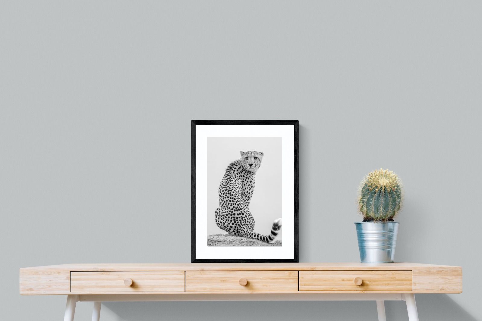 Pixalot Cheetah Glance