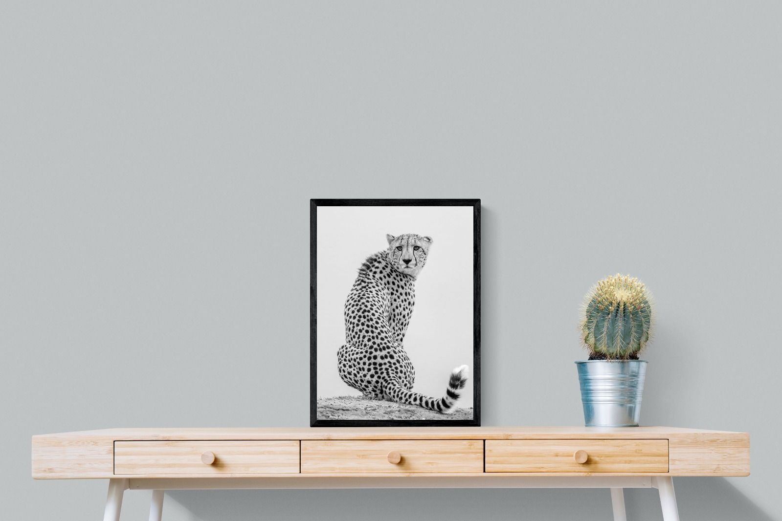 Pixalot Cheetah Glance