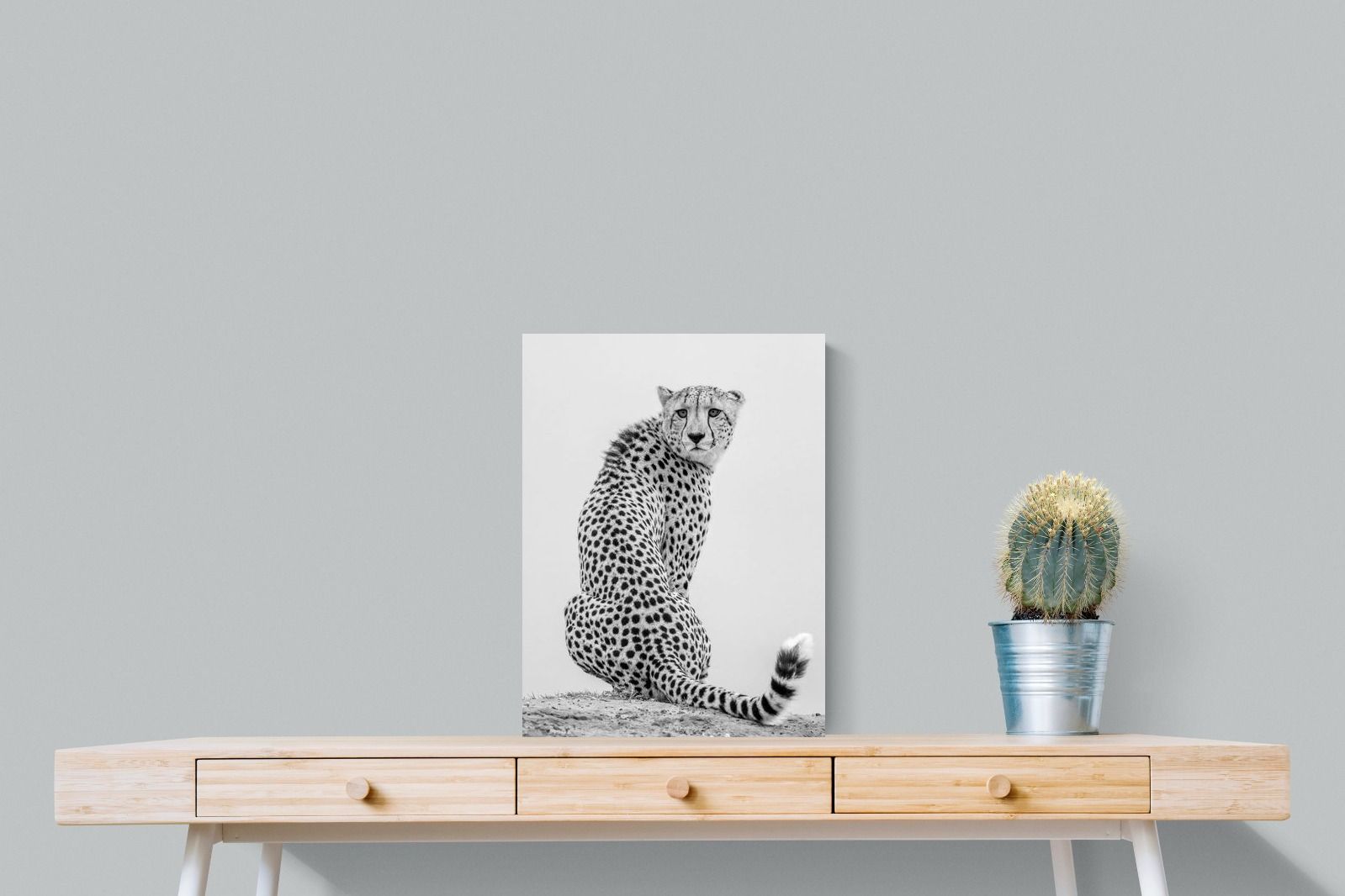 Pixalot Cheetah Glance