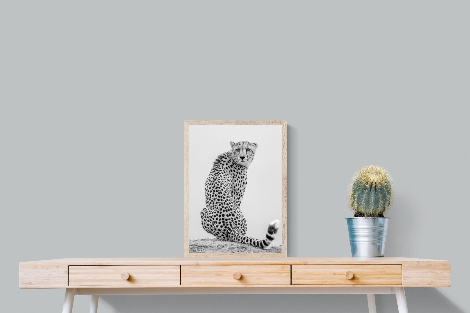 Pixalot Cheetah Glance