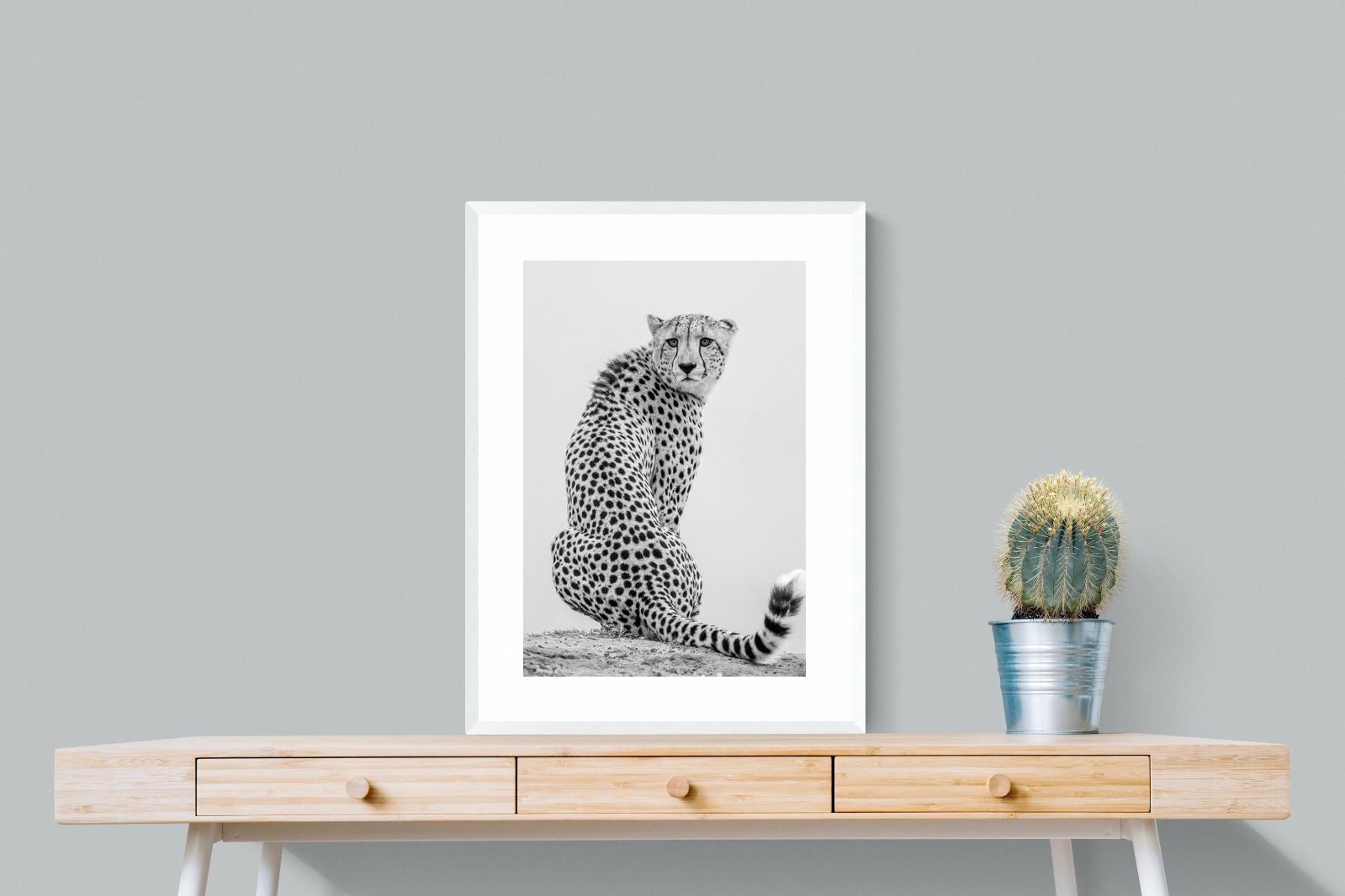 Pixalot Cheetah Glance