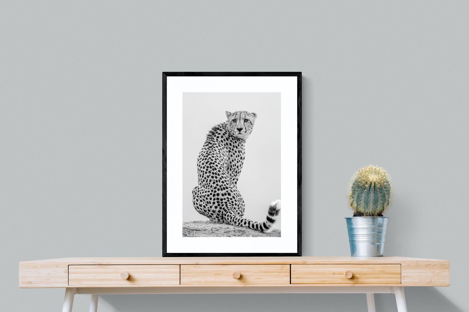 Pixalot Cheetah Glance