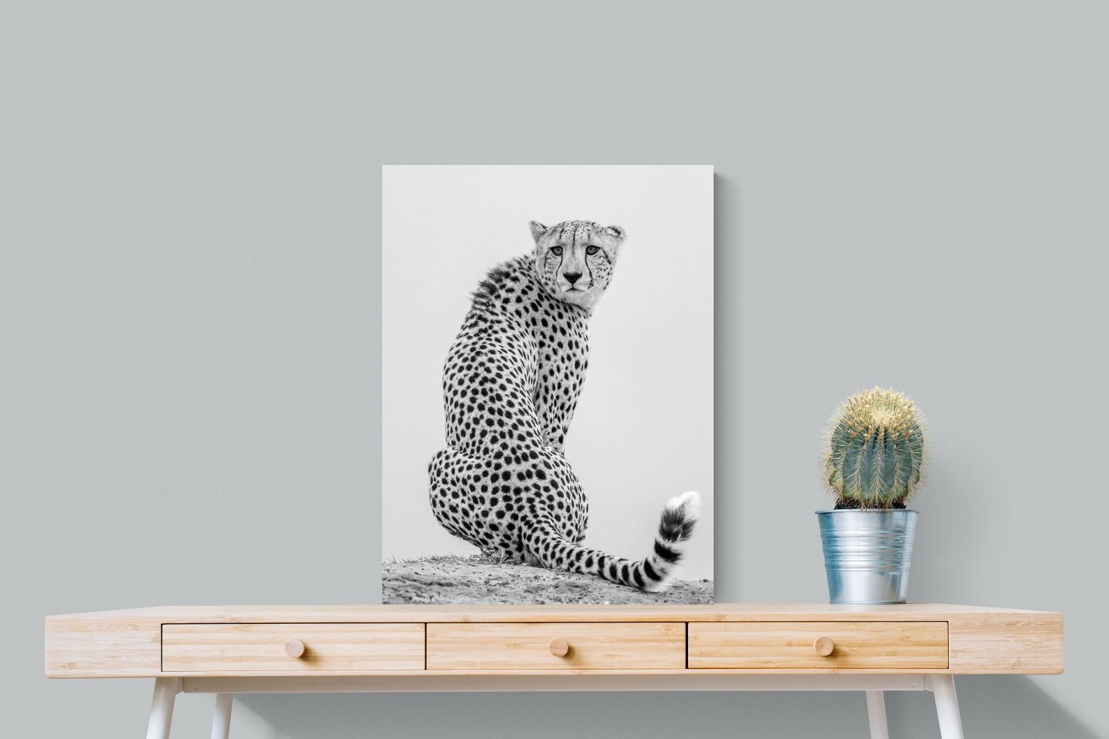 Pixalot Cheetah Glance