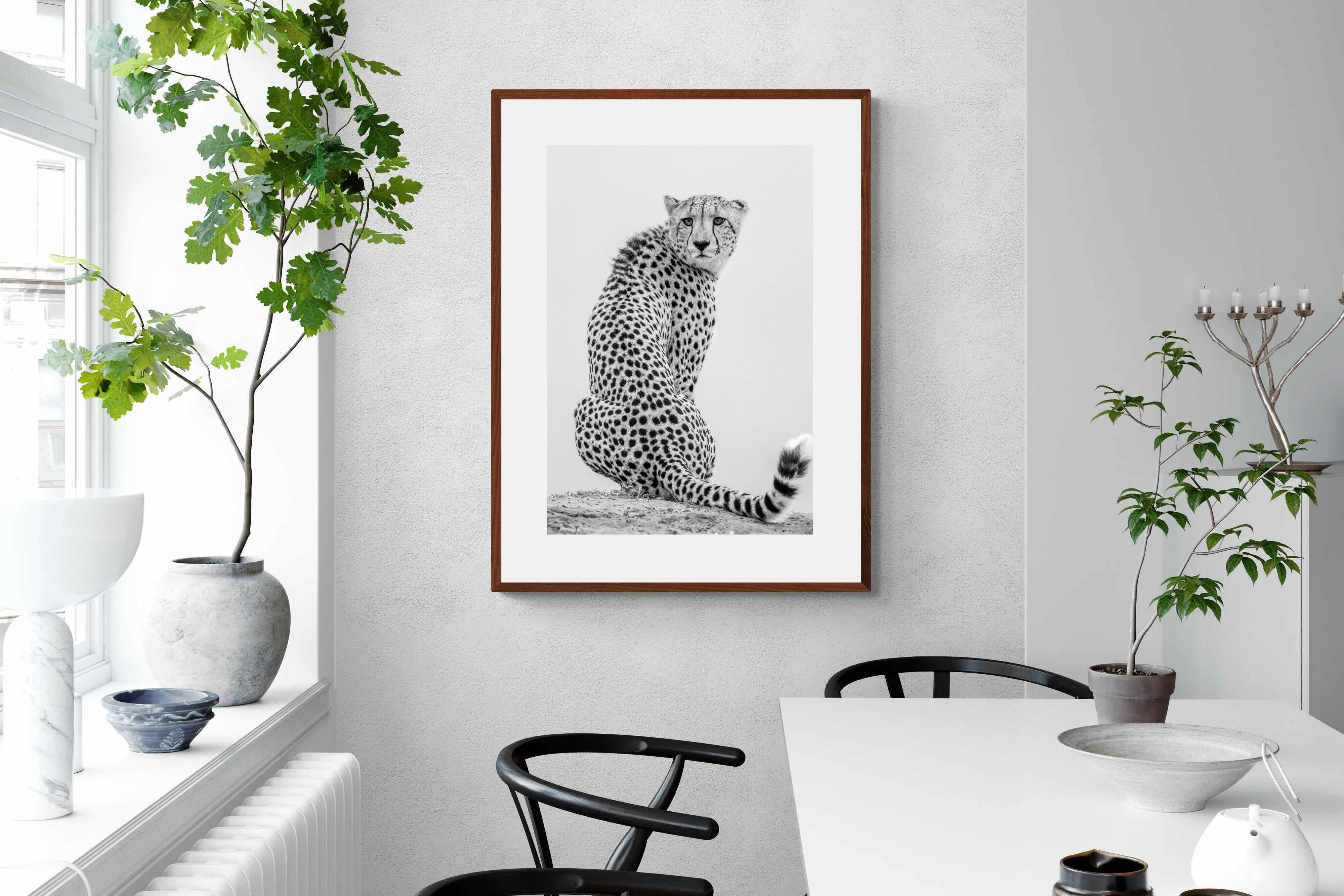 Pixalot Cheetah Glance