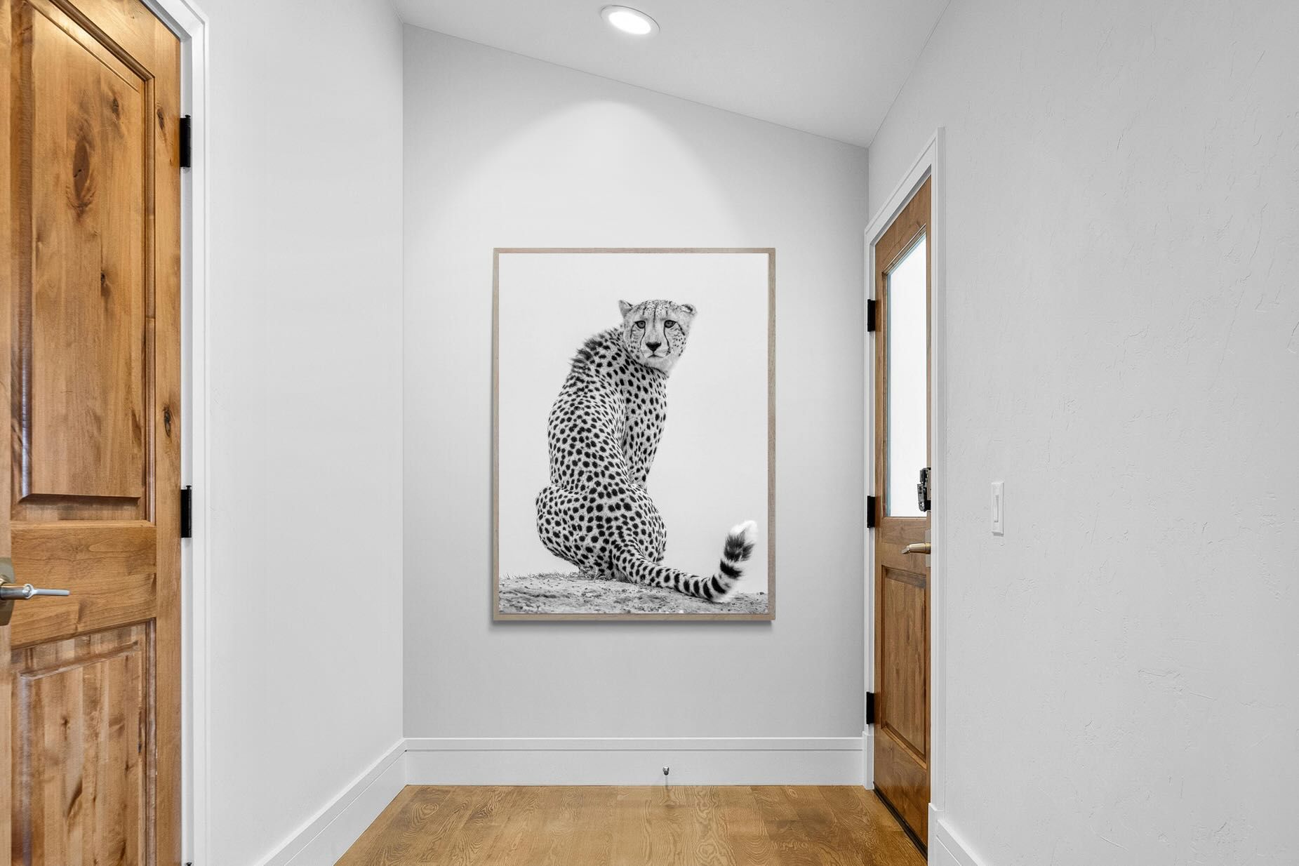 Pixalot Cheetah Glance