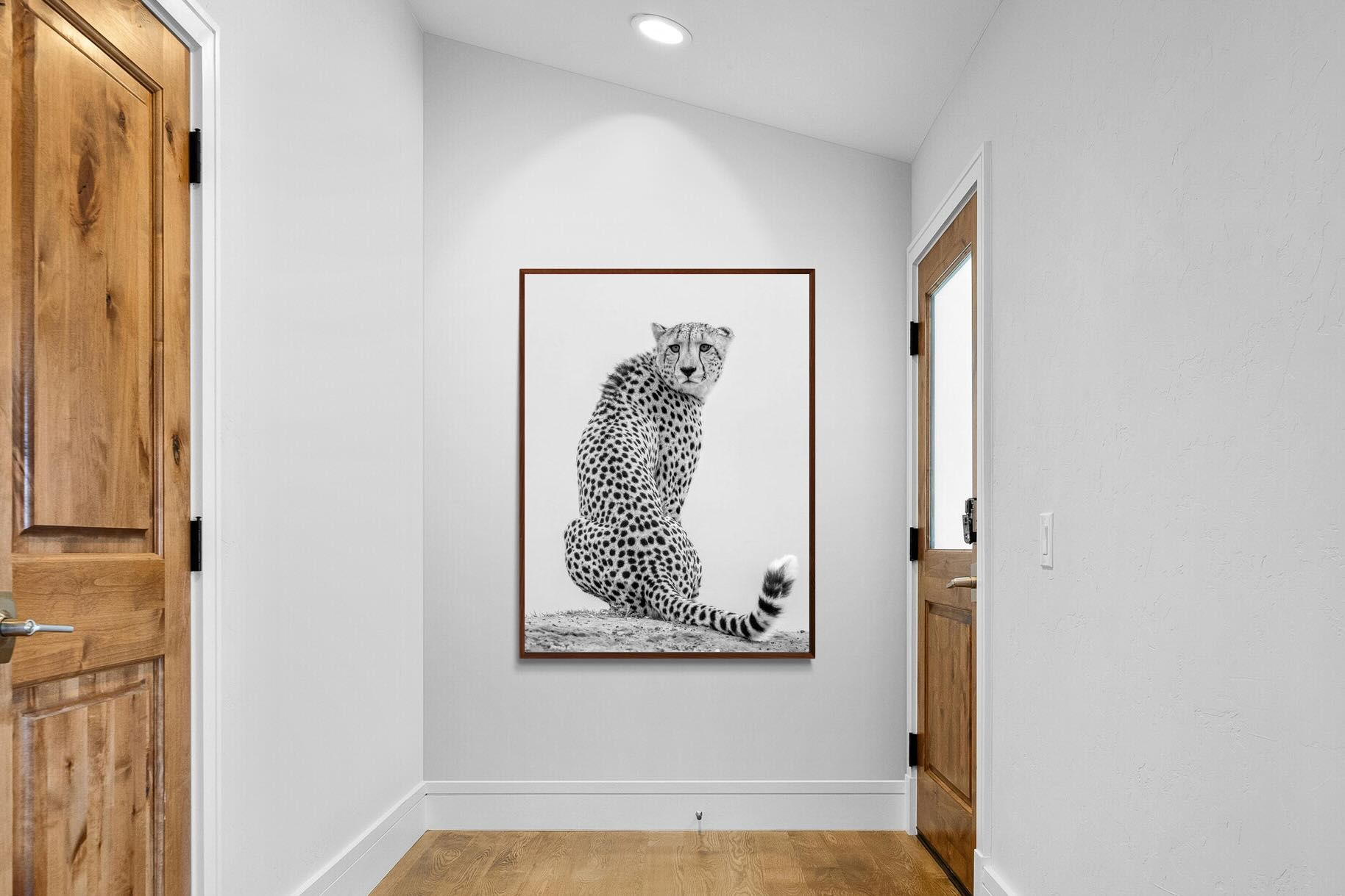 Pixalot Cheetah Glance