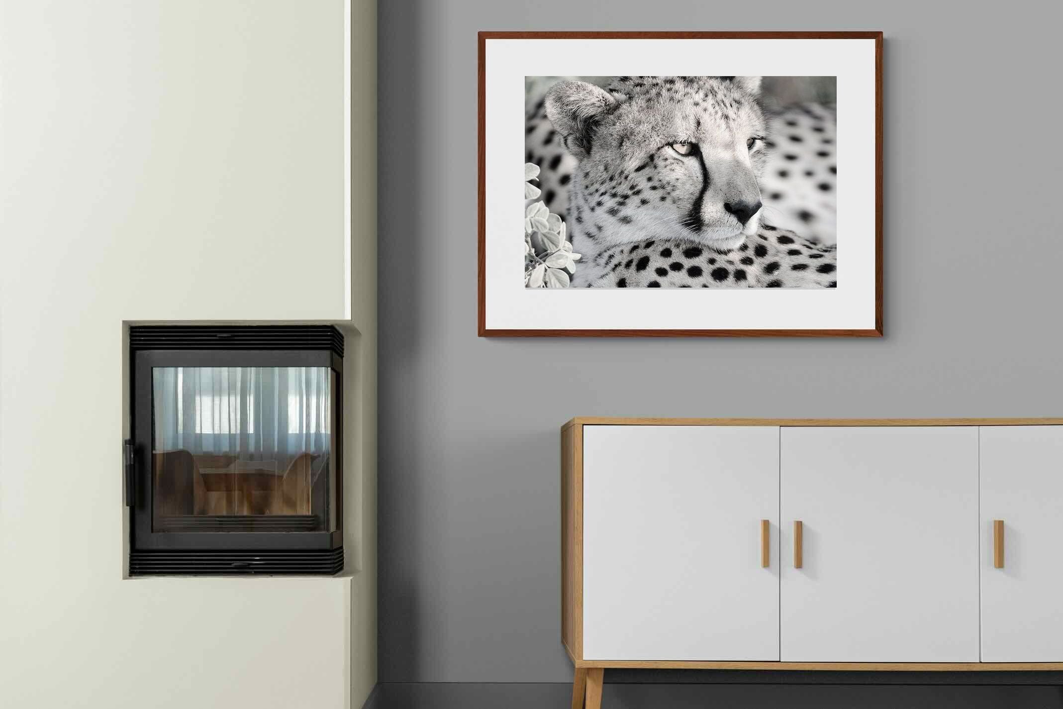 Pixalot Cheetah Glare