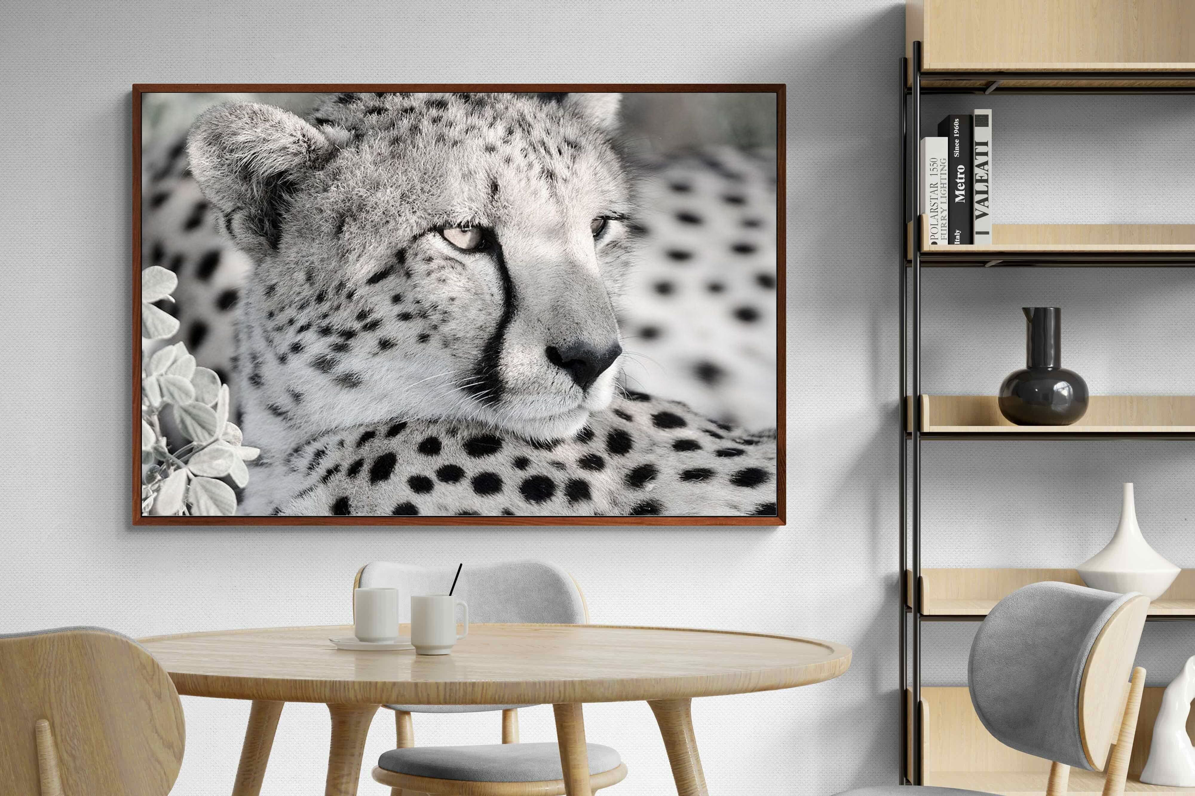 Pixalot Cheetah Glare