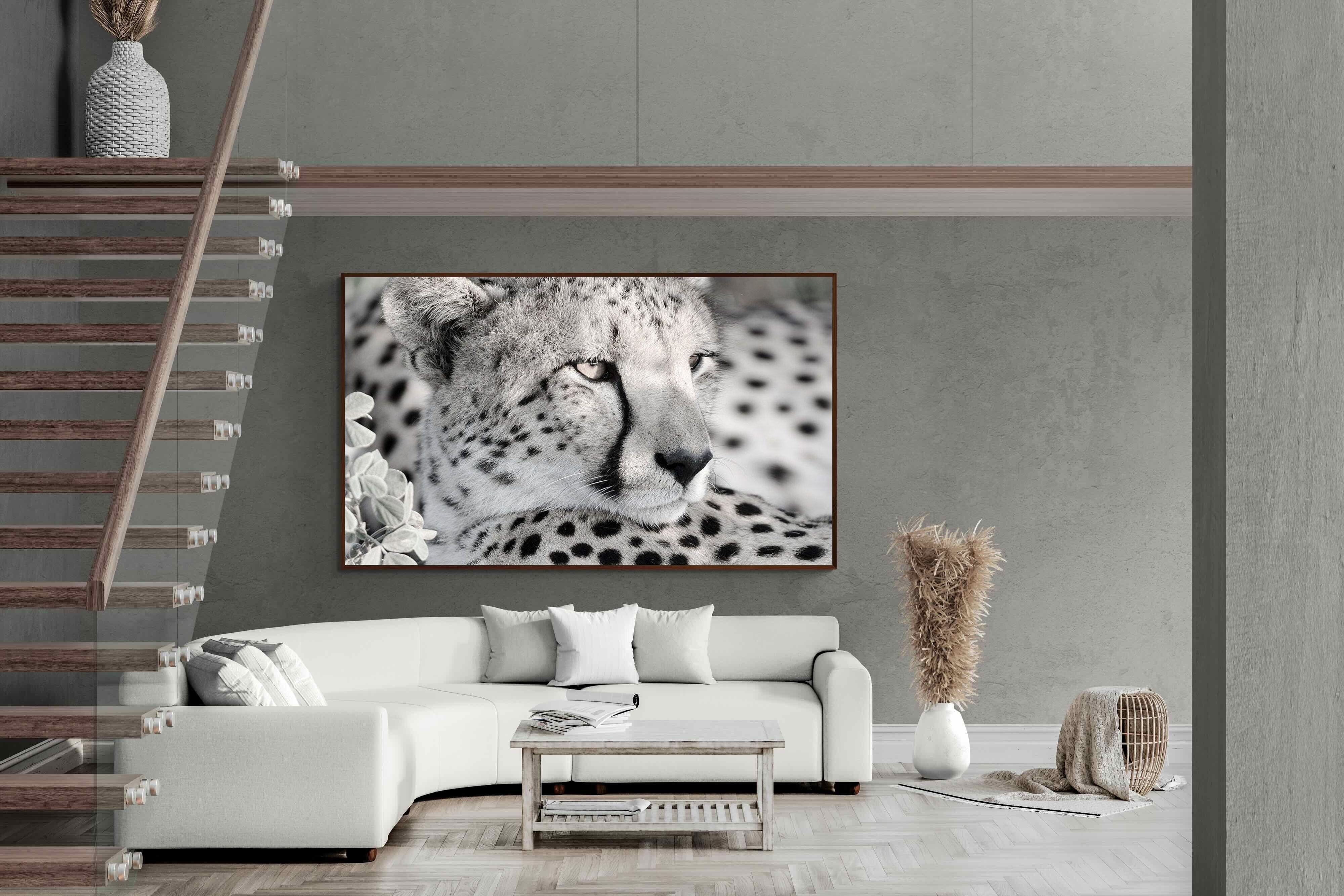 Pixalot Cheetah Glare