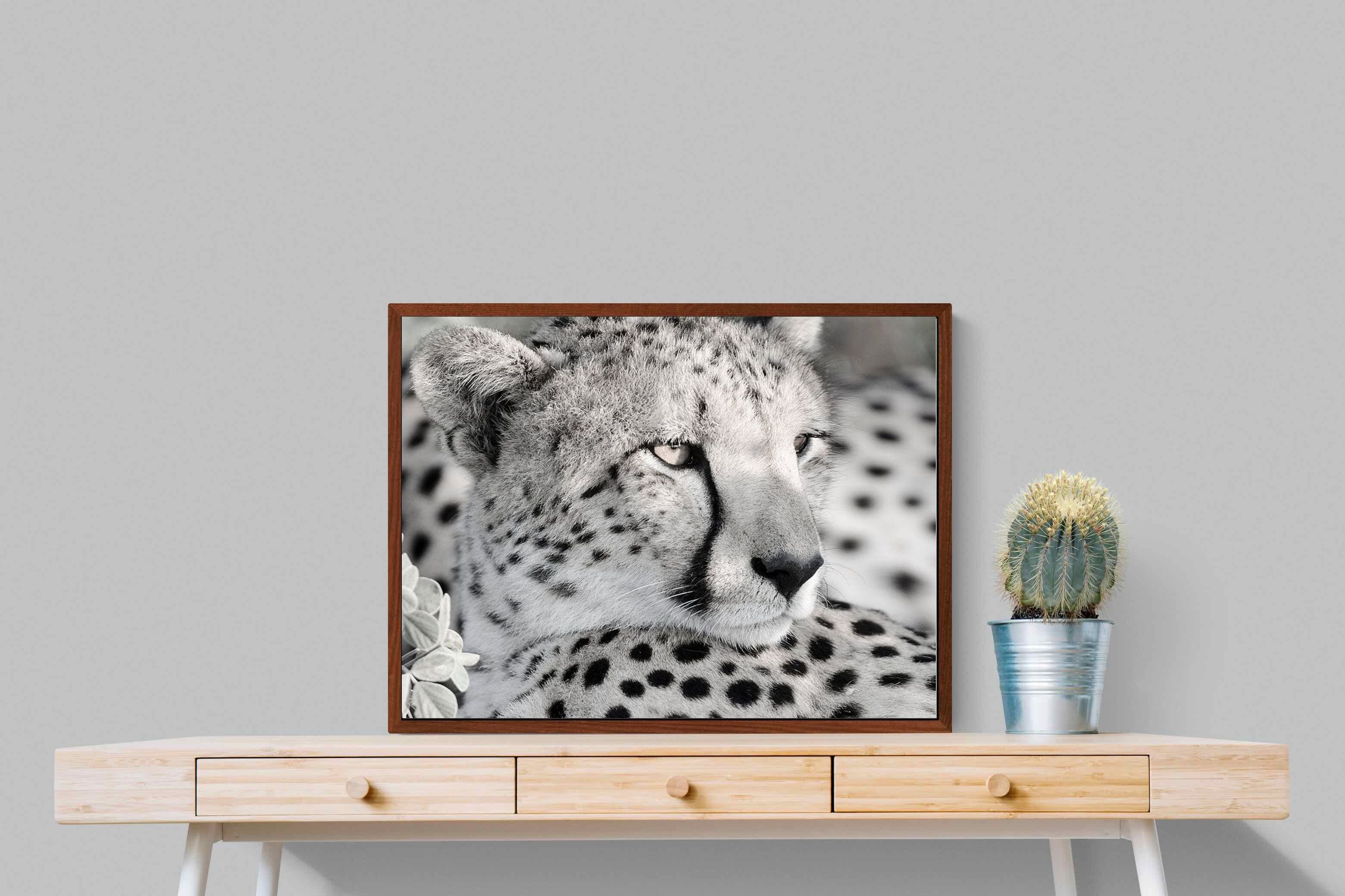 Pixalot Cheetah Glare