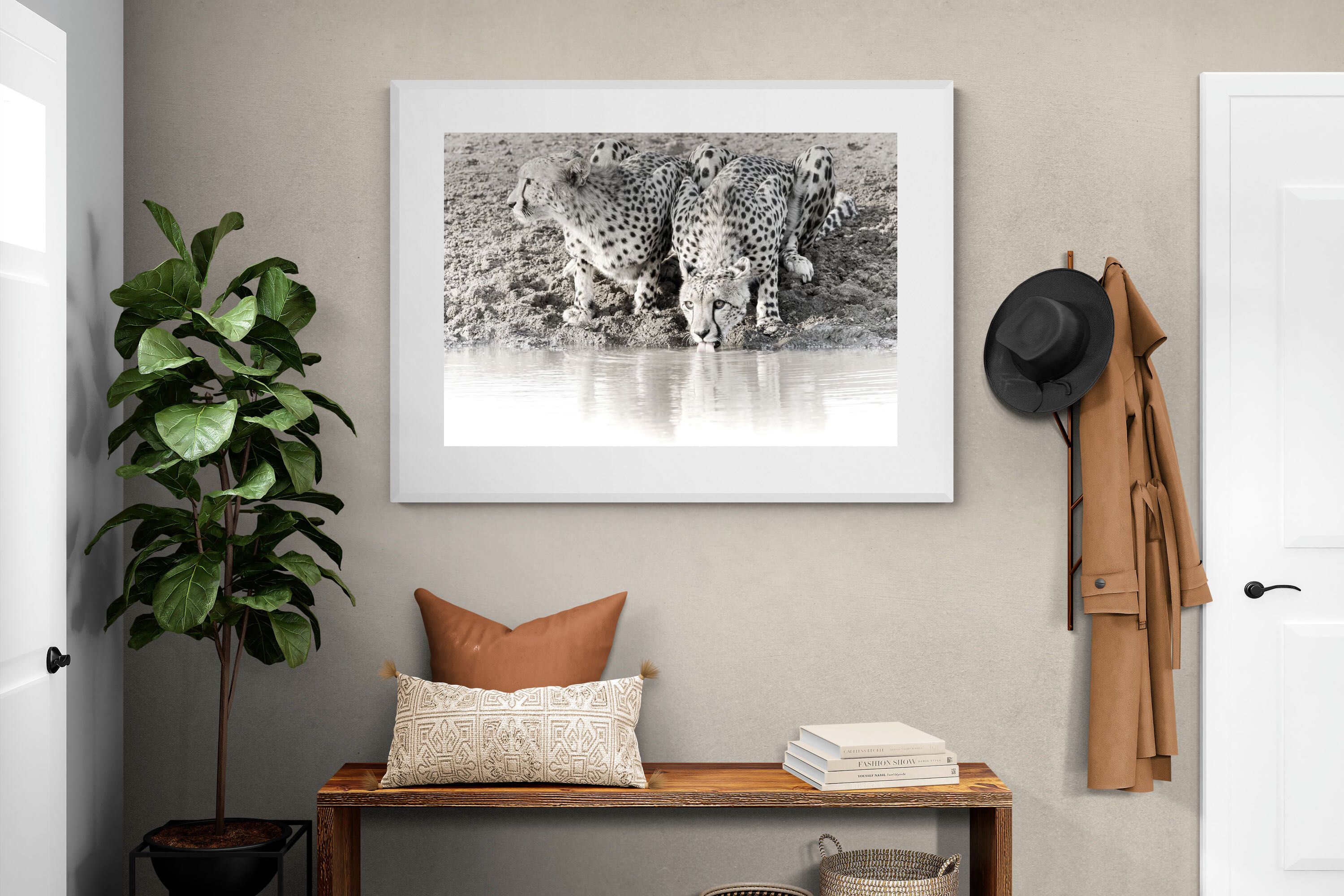 Pixalot Cheetah Sisters