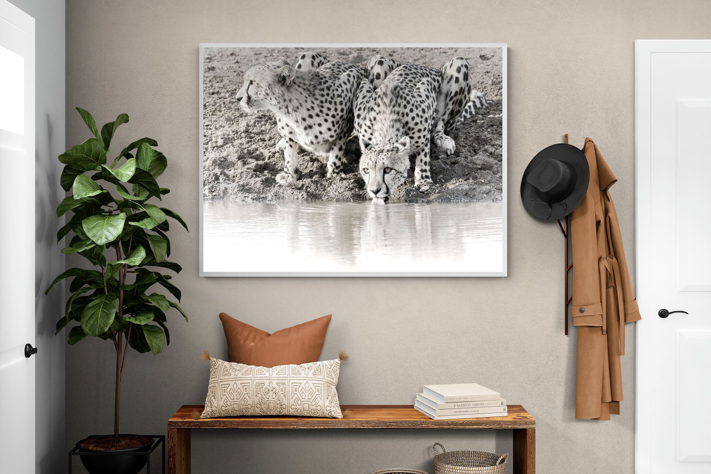 Pixalot Cheetah Sisters