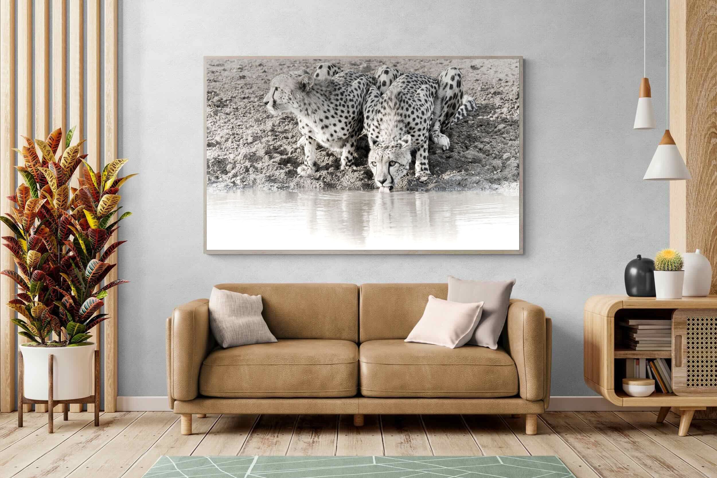 Pixalot Cheetah Sisters