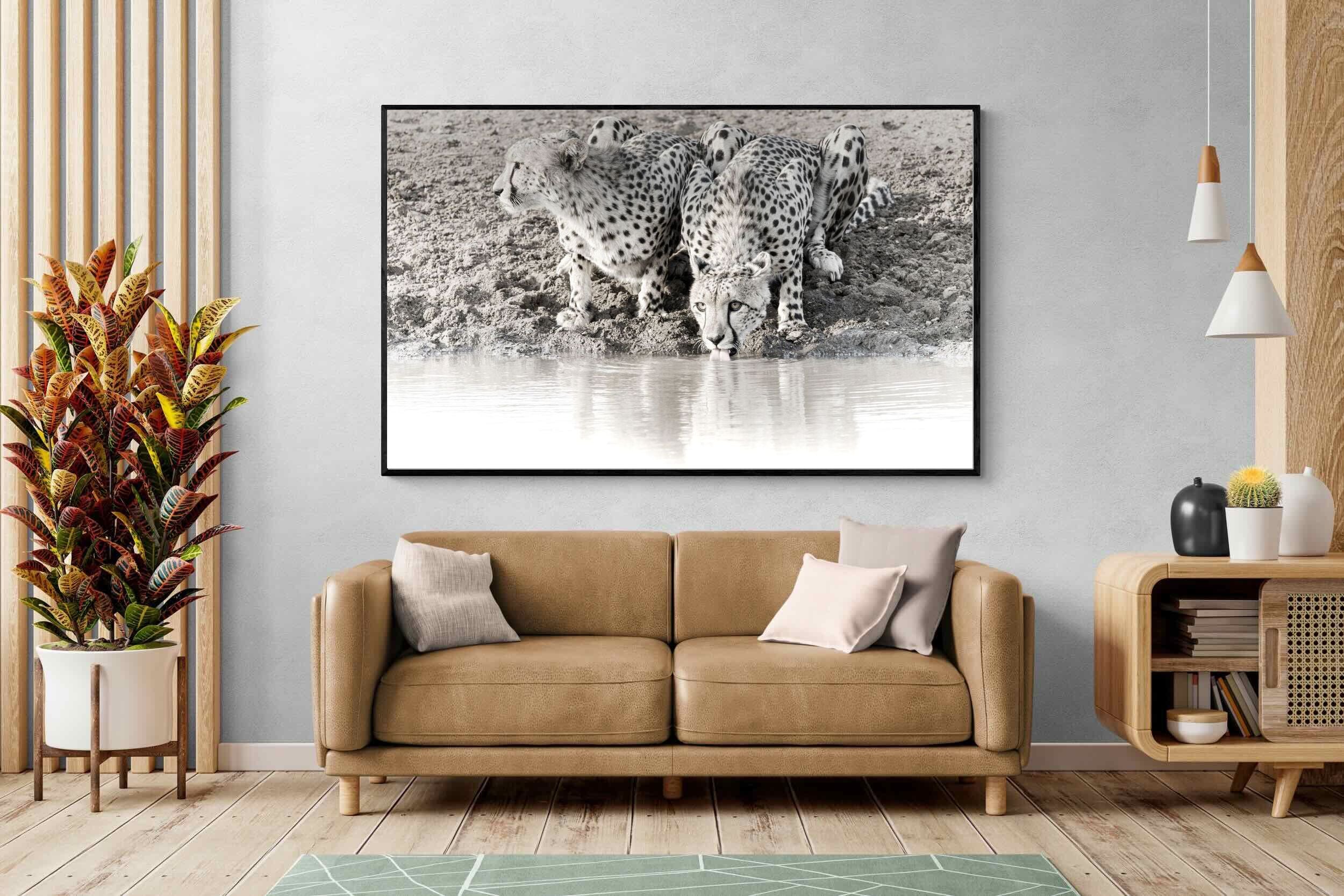 Pixalot Cheetah Sisters