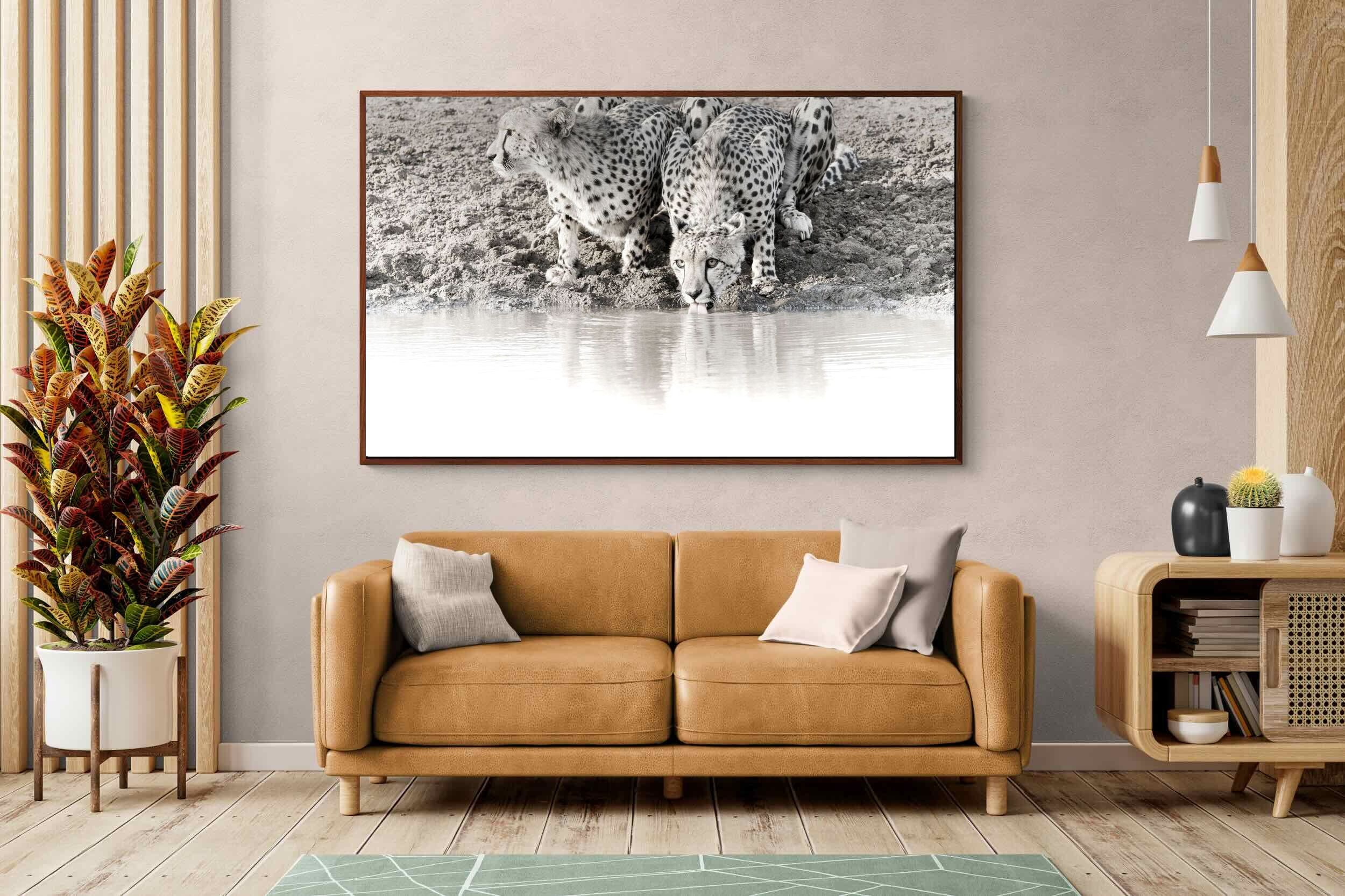 Pixalot Cheetah Sisters