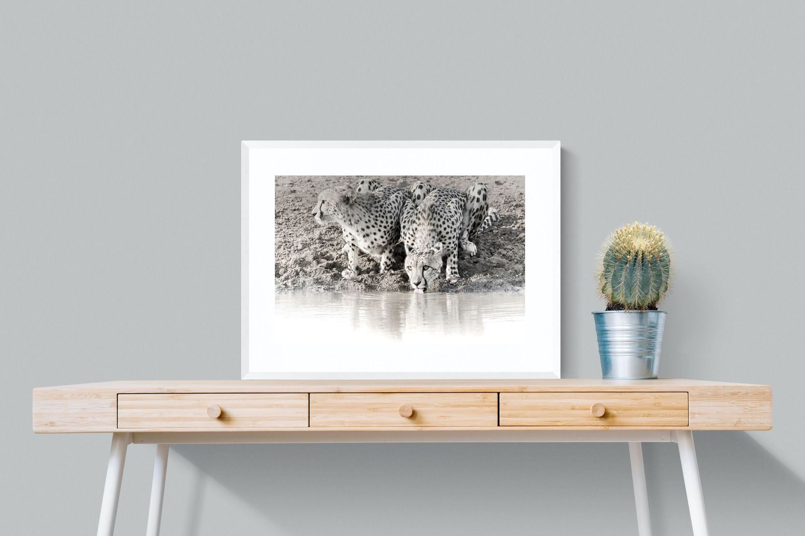 Pixalot Cheetah Sisters