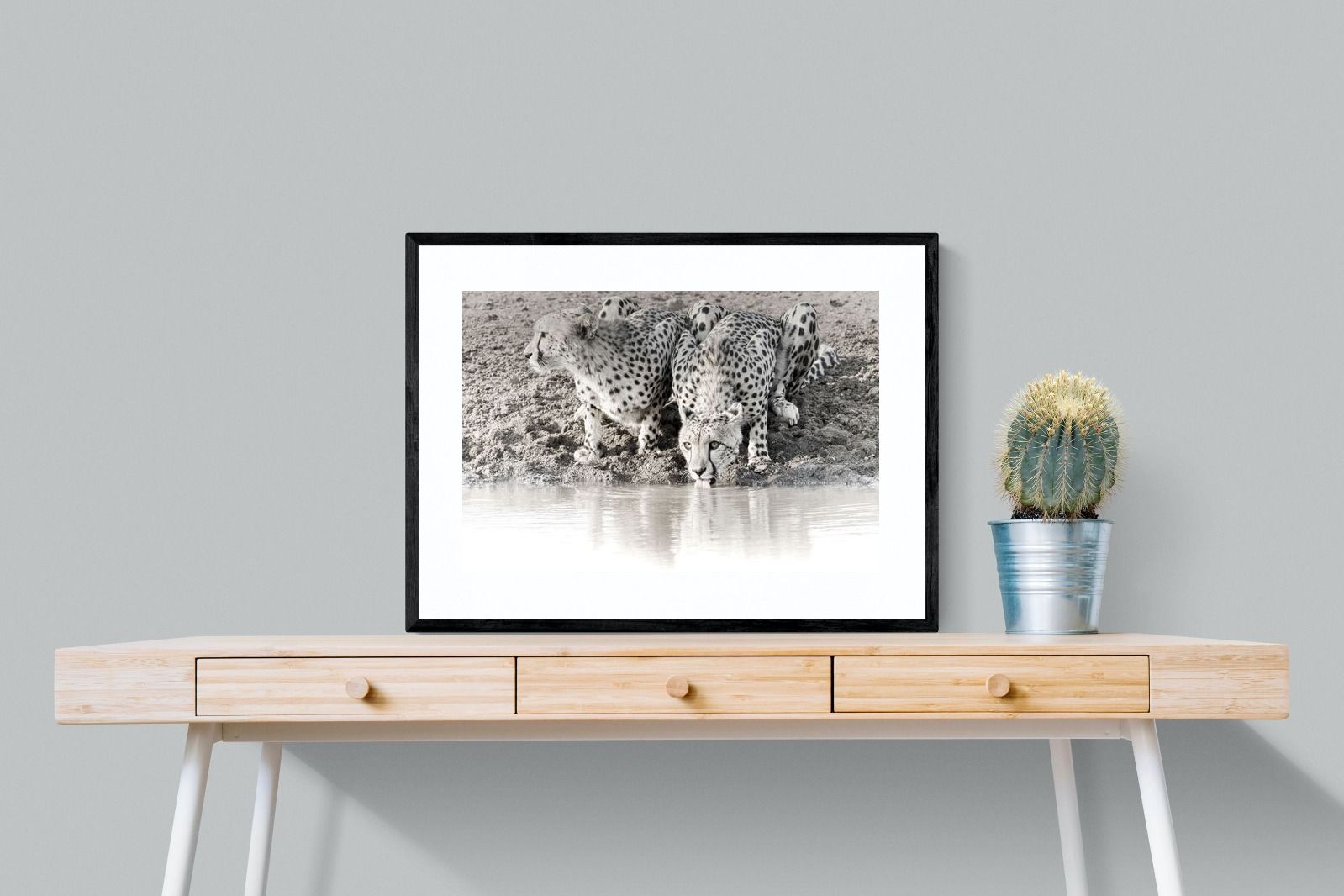 Pixalot Cheetah Sisters